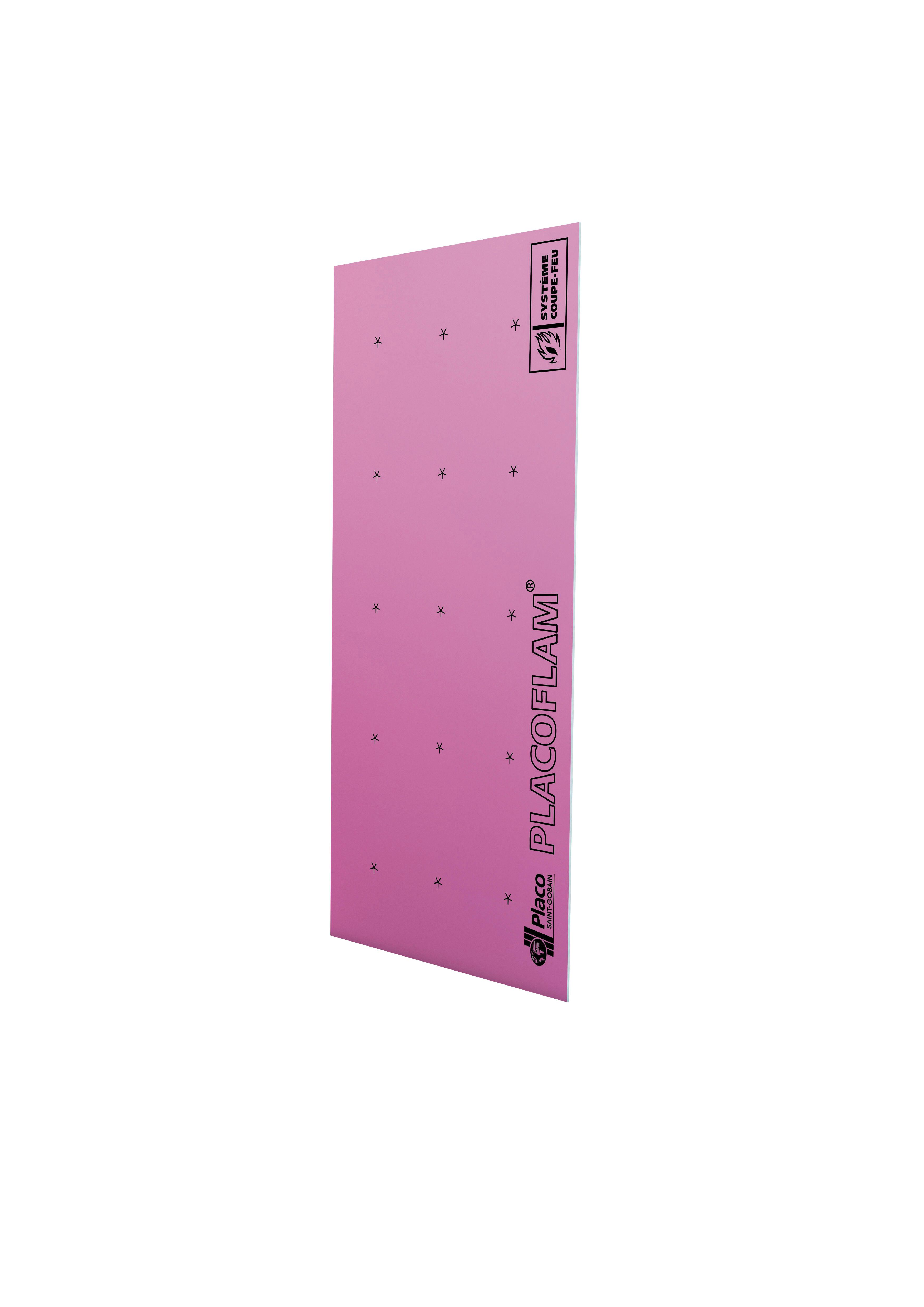 Plaque de plâtre BA13 feu NF H.250 x l.120 cm - PLACOPLATRE - 2