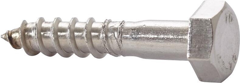 Tirefonds bois inox A2 Diam. 6 x 30 mm Boîte de 100 - VISWOOD - 2