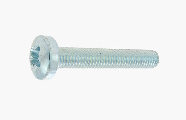 Vis métal Diam.4 mm tête cylindrique Boîte de 100 - VISWOOD - 2