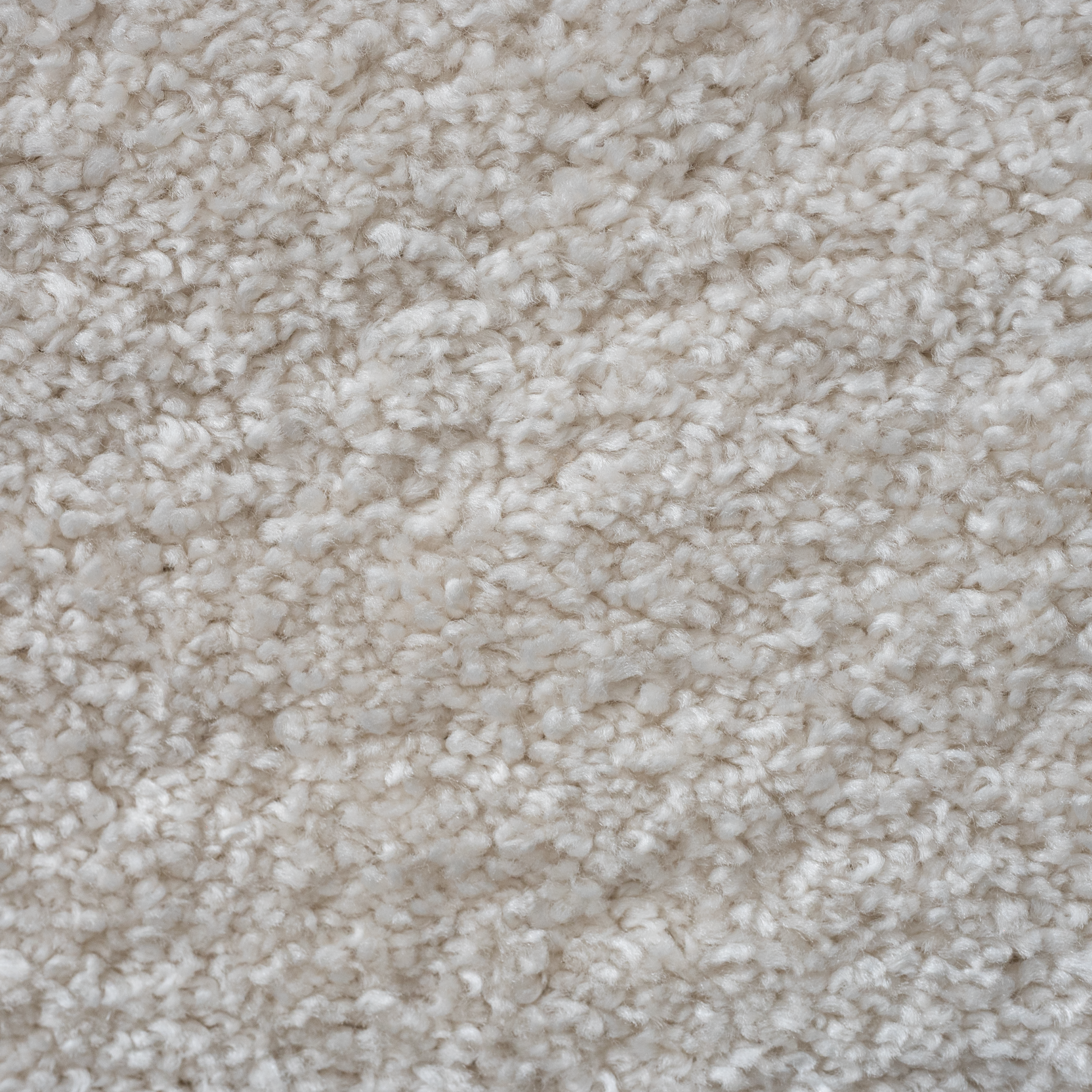 Dywan shaggy Omega kremowy 160 x 220 cm - 4