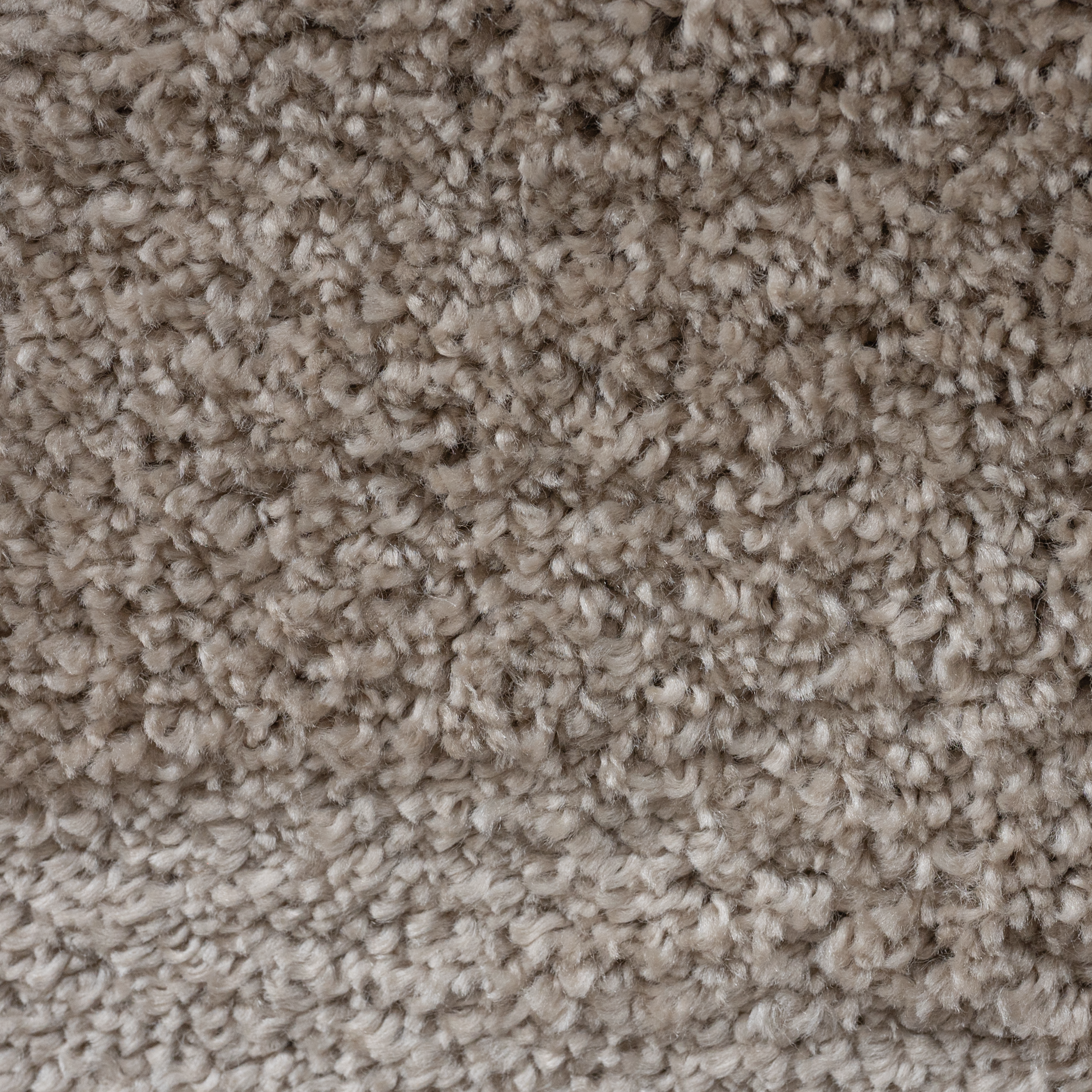 Dywan shaggy Omega beżowy 160 x 220 cm - 4