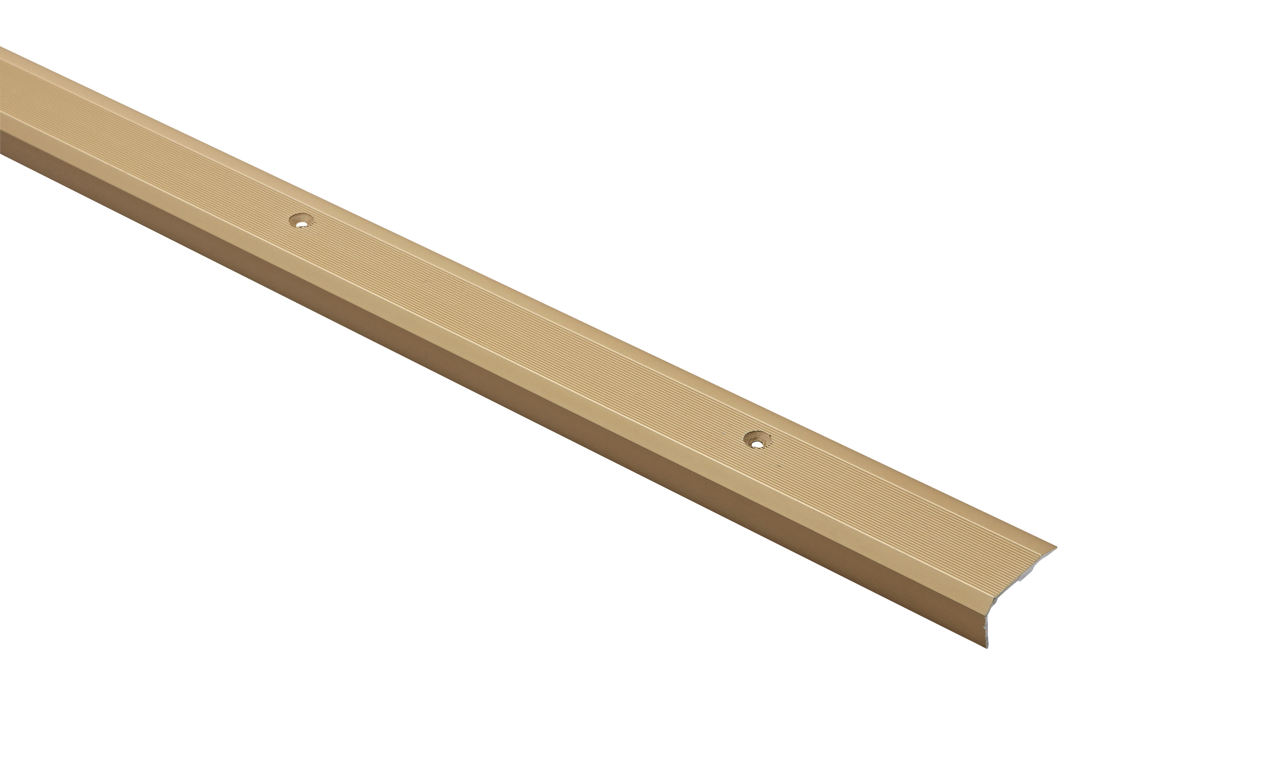 Nez de marche aluminium or strié à visser L.170 x l.3,60 cm Tecnis - 3