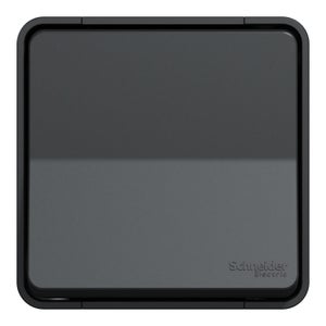 Poussoir étanche saillie complet Mureva Styl, SCHNEIDER ELECTRIC, anthracite