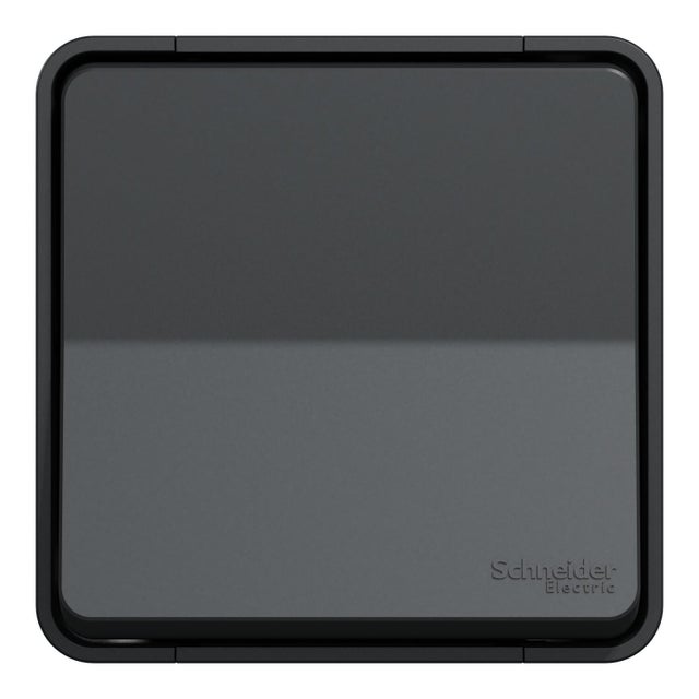 Poussoir étanche saillie complet Mureva Styl, SCHNEIDER ELECTRIC, anthracite