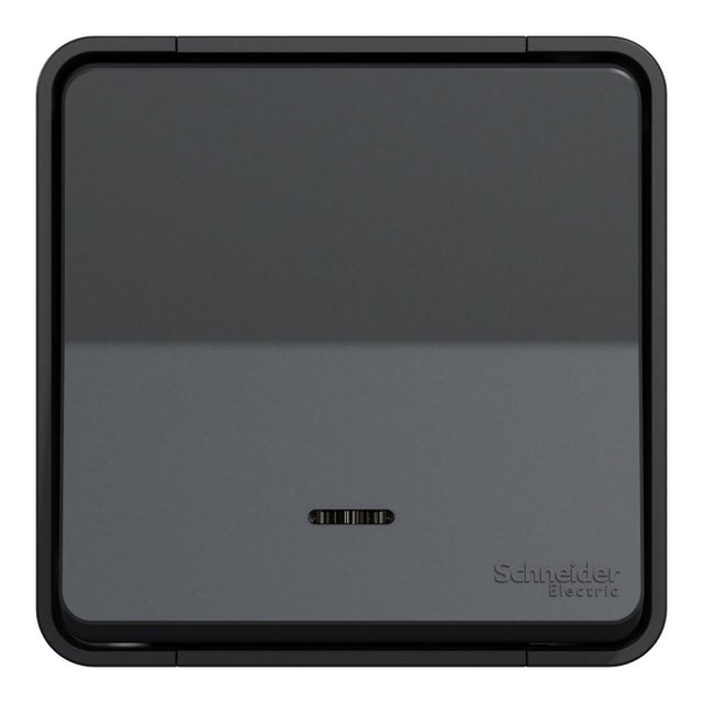 Poussoir lumineux étanche saillie Mureva Styl, SCHNEIDER ELECTRIC, anthracite