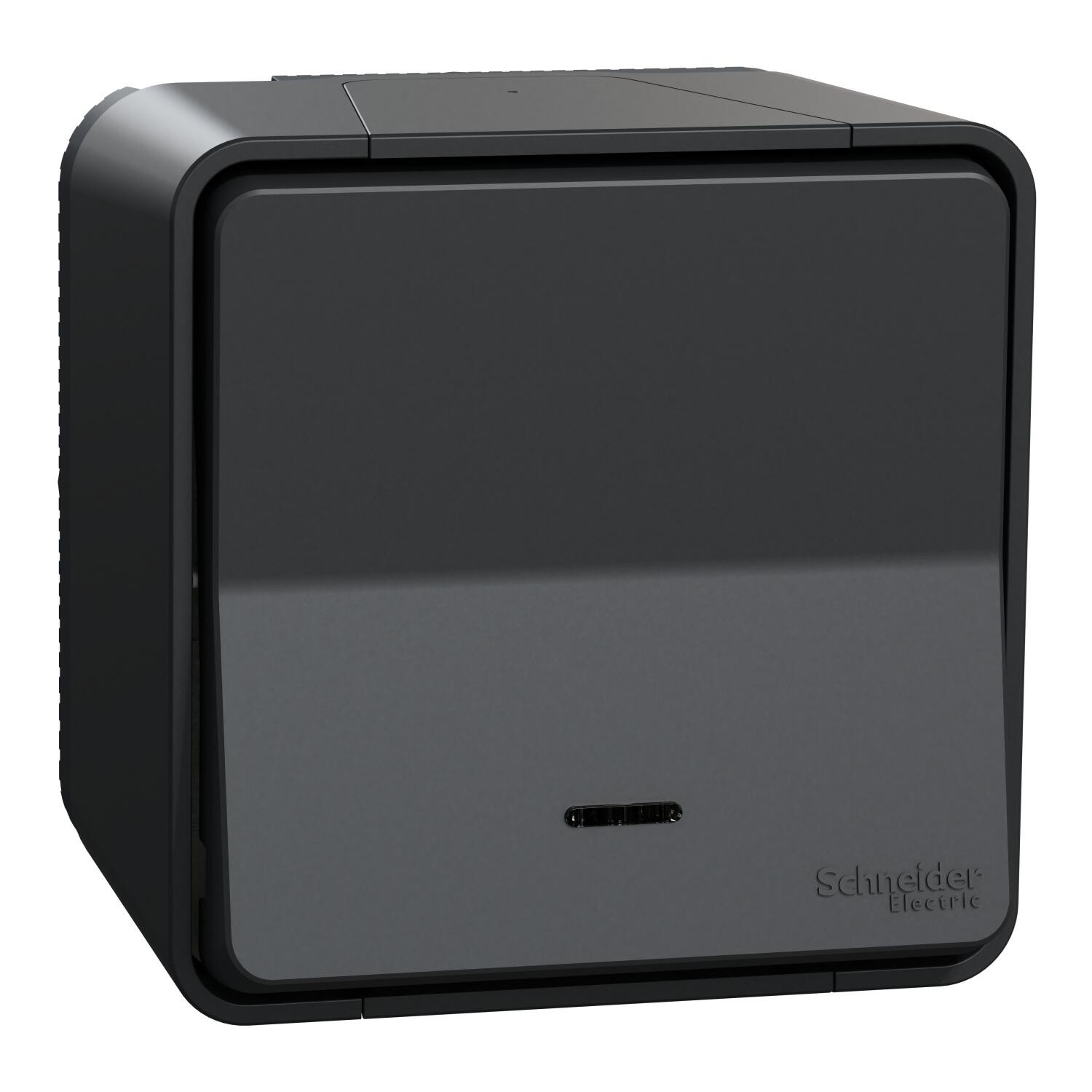 Poussoir lumineux étanche saillie Mureva Styl, SCHNEIDER ELECTRIC, anthracite - 3