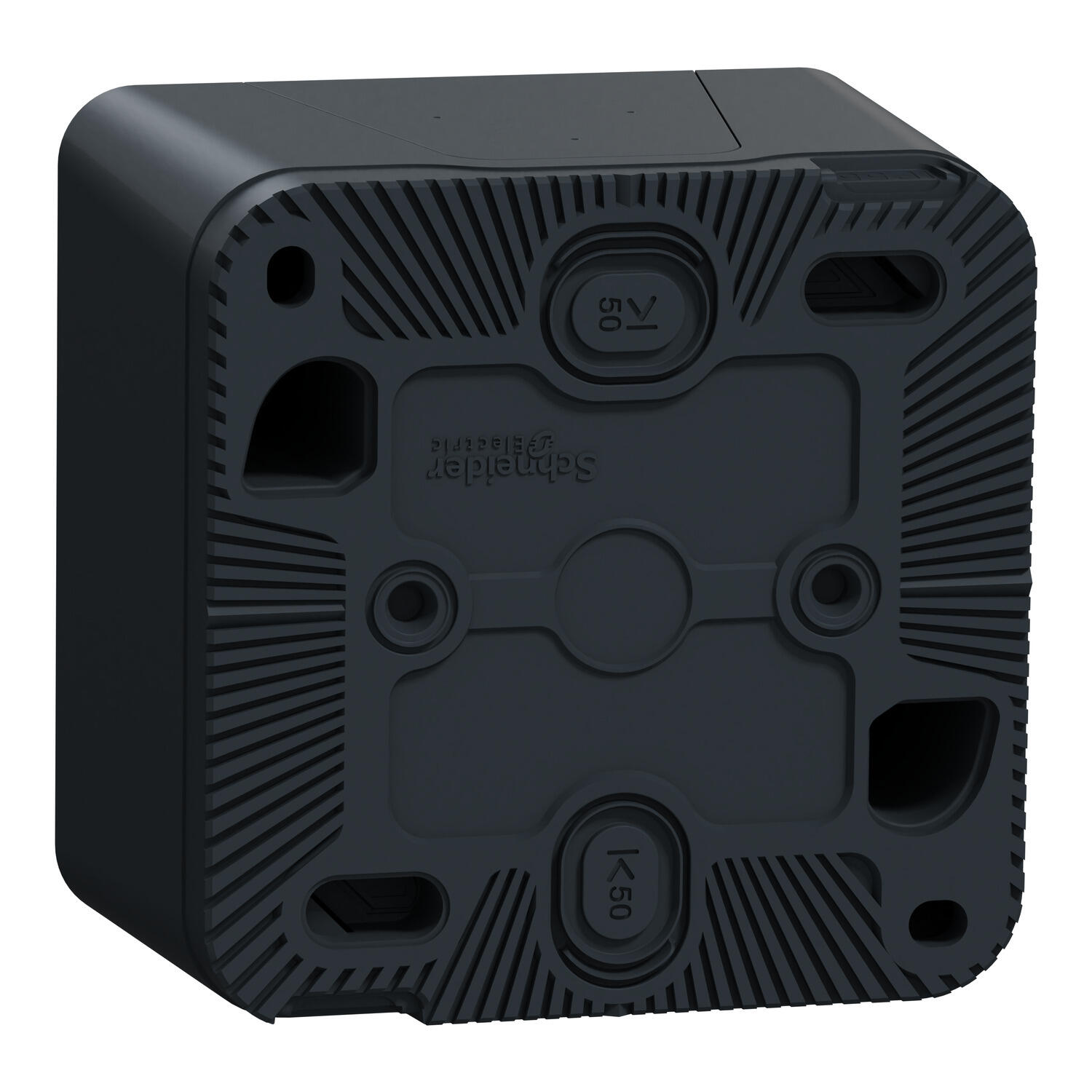 Prise étanche saillie complet Mureva Styl SCHNEIDER ELECTRIC anthracite - 14