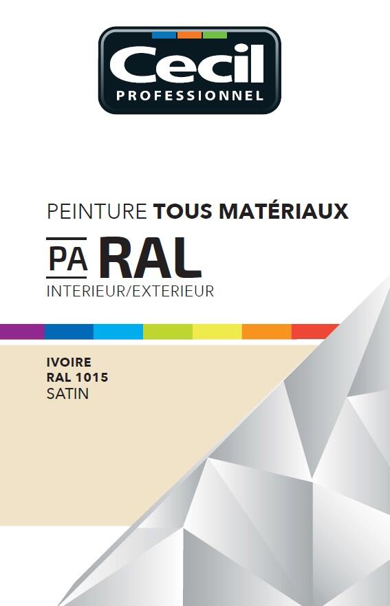 Peinture aérosol tous matériaux int/ext satin ivoire RAL1015 400 ml - CECIL PRO - 4
