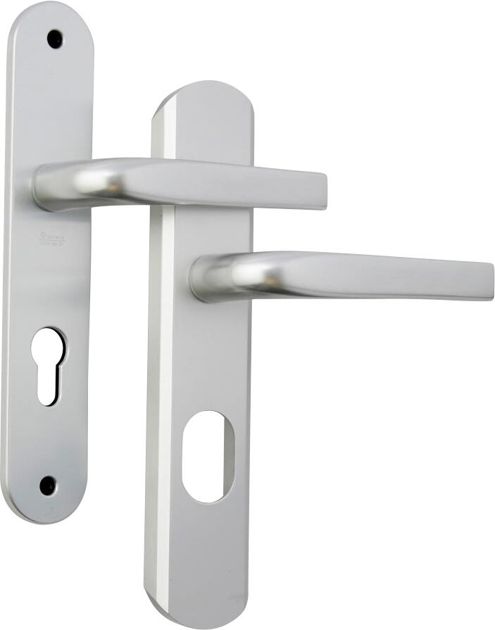 Poignée de porte sur plaque grise SECUMAX x2 - VACHETTE  - 3