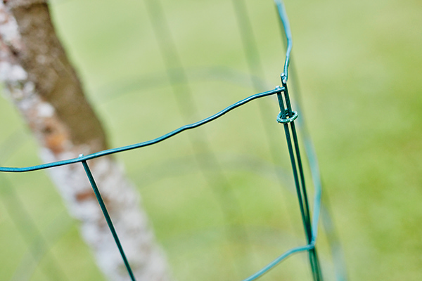 Lot de 1100 agrafes VR22 vertes - RAPID - 3