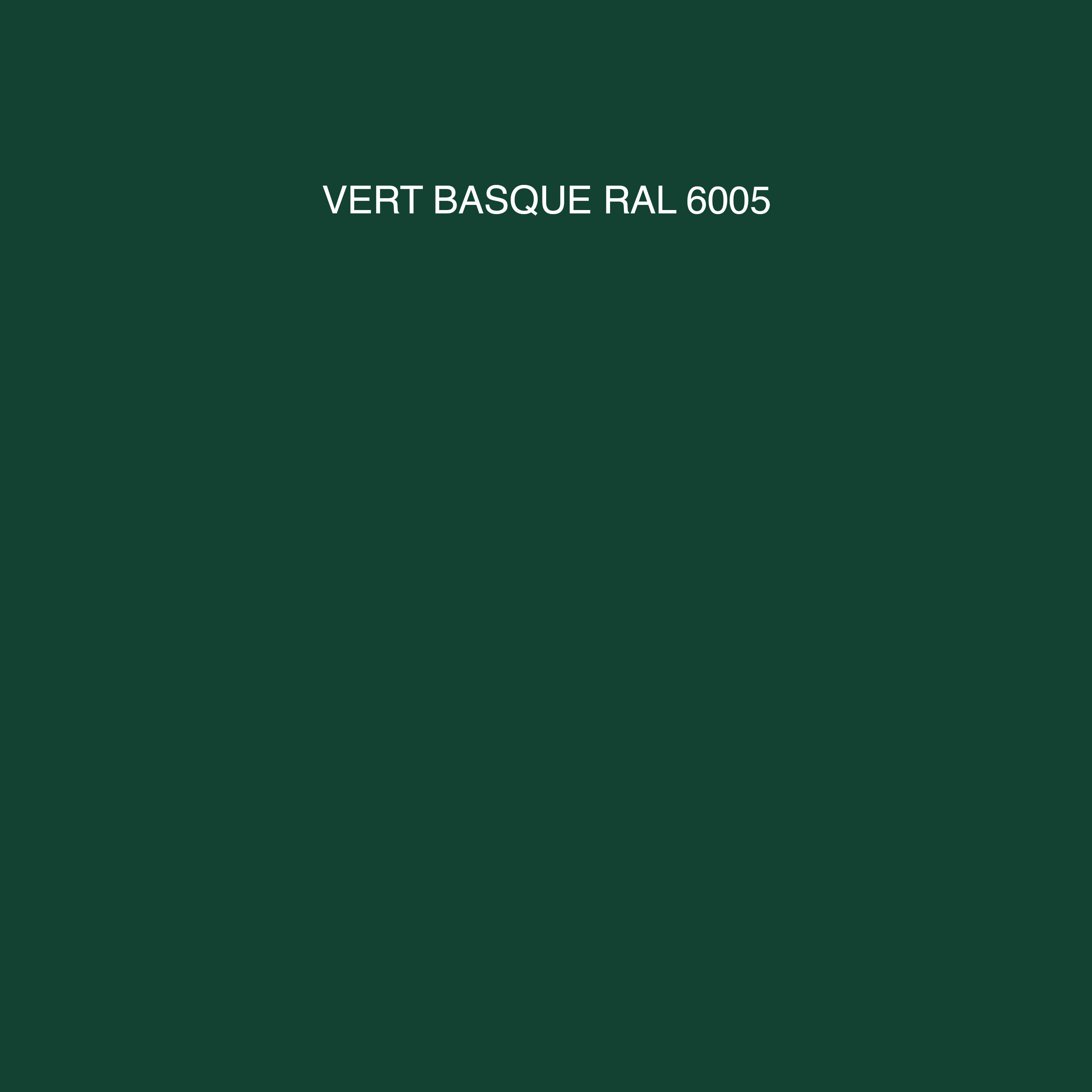 Peinture 2en1 int./ext. multisupport acrylique mat vert basque RAL6005 0,5 L OMNI16 - MOSAIK - 2
