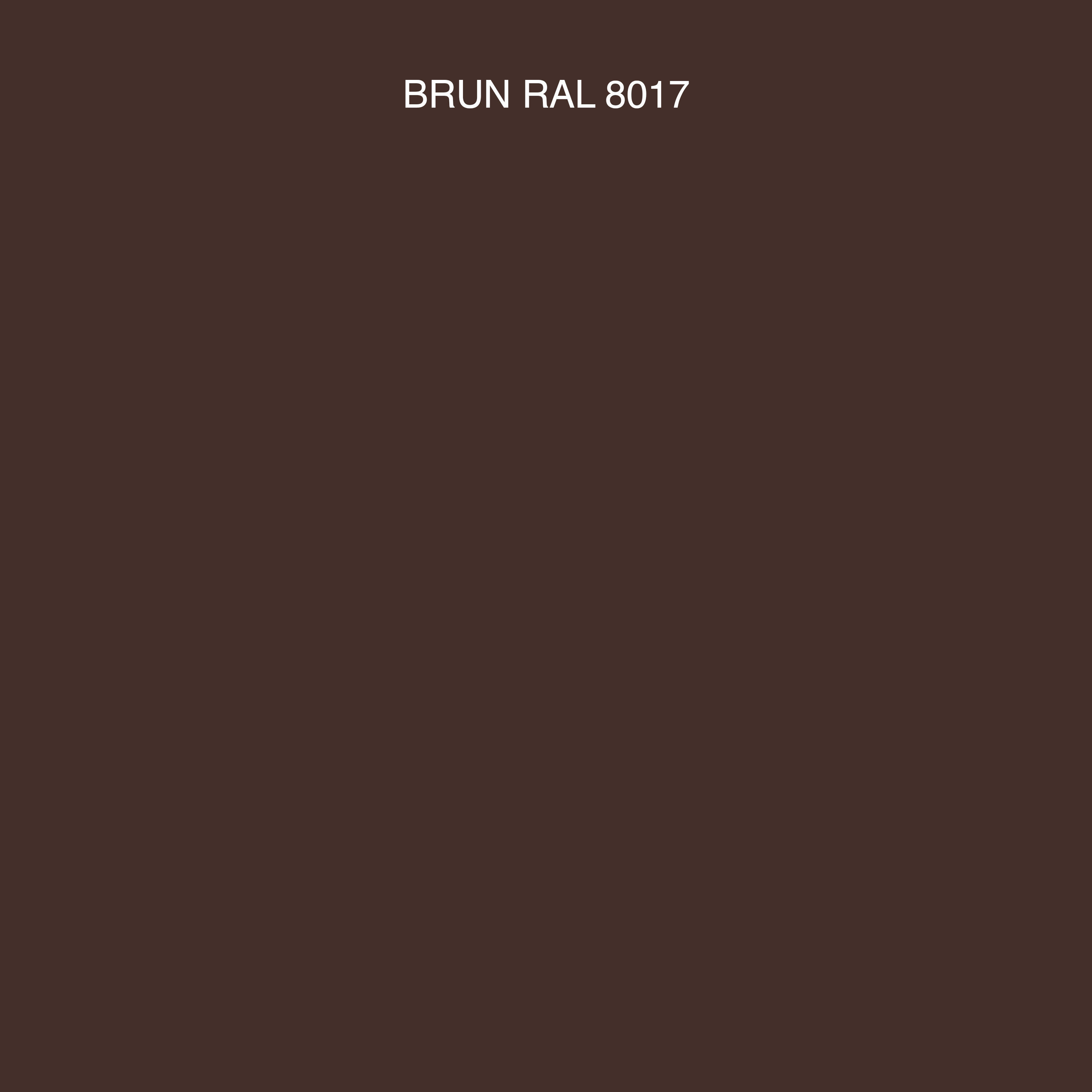 Peinture 2en1 int./ext. multisupport acrylique mat brun RAL8017 2 L OMNI16 - MOSAIK - 2
