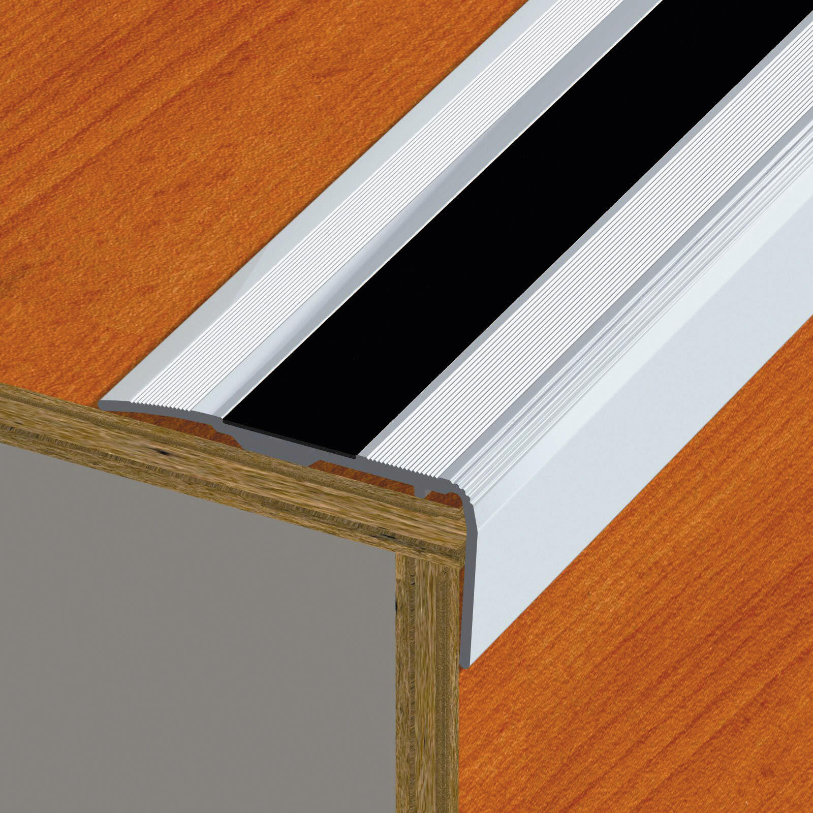 Nez de marche aluminium avec bande antidérapante à visser L.110 x l.3,20 cm Tecnis - 2