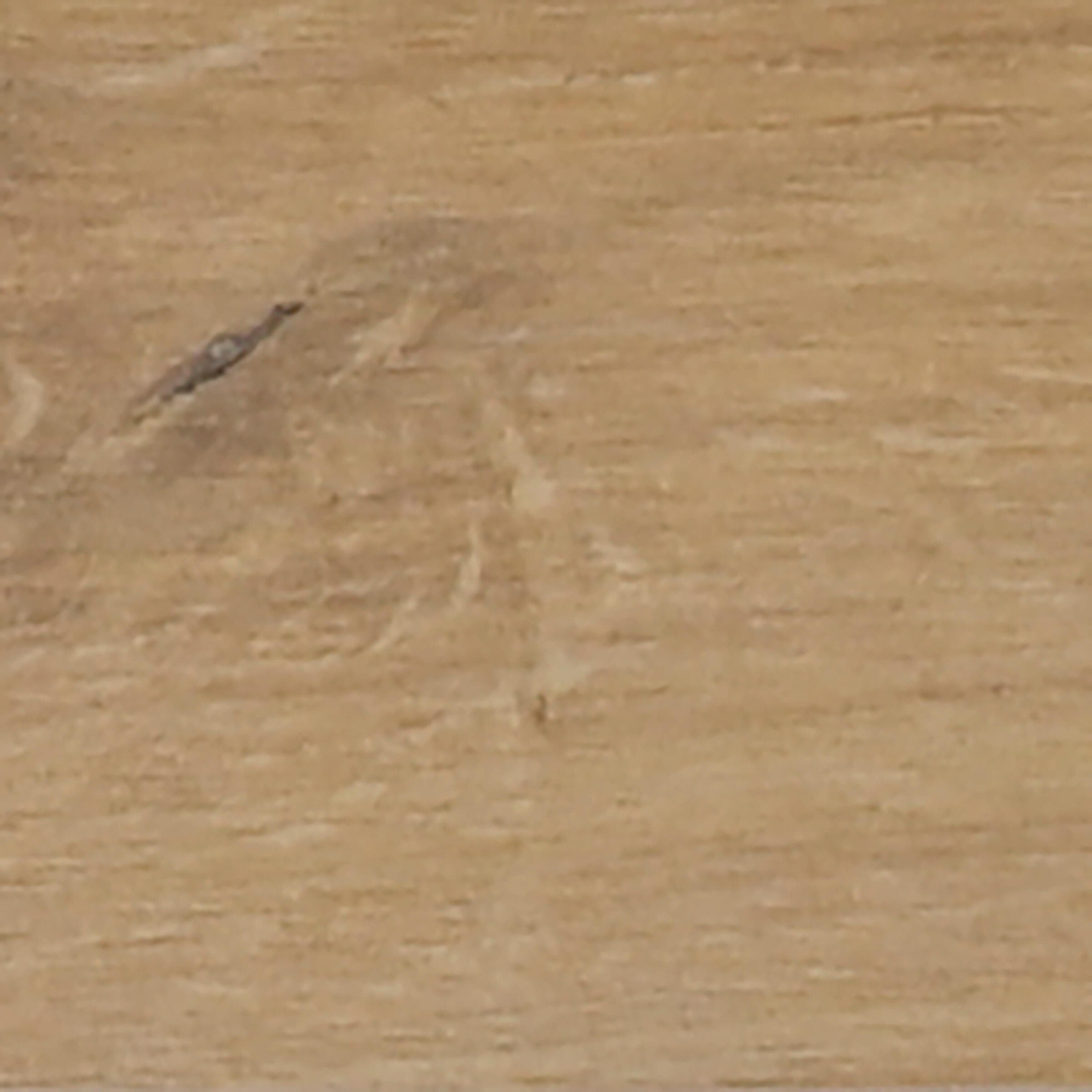 Plinthe carrelage intérieur effet bois H.7 x L.60 cm - Sandwood beige (lot de 6) - 3