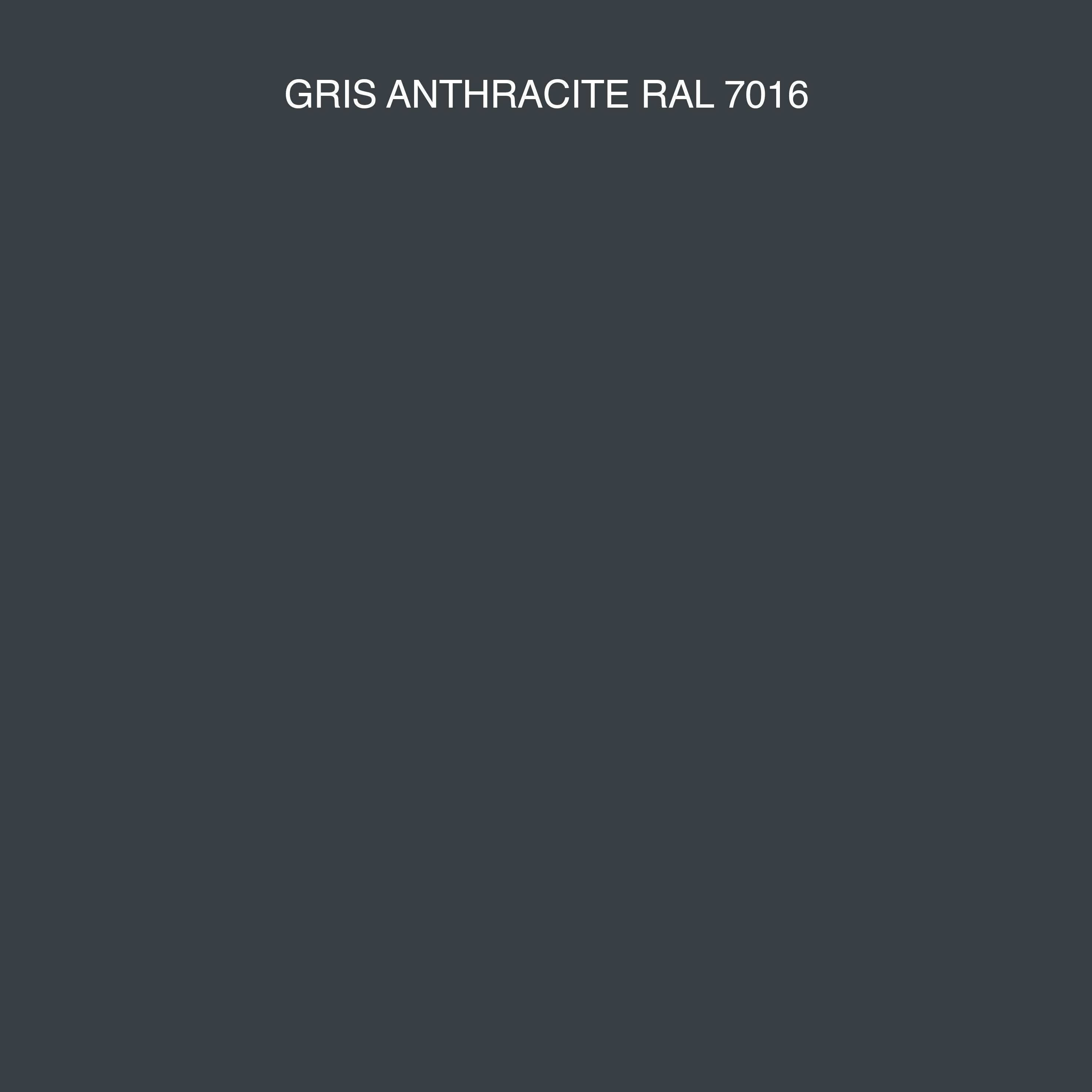 Peinture 2en1 int./ext. multisupport acrylique mat gris antracite RAL7016 2 L OMNI16 - MOSAIK - 2