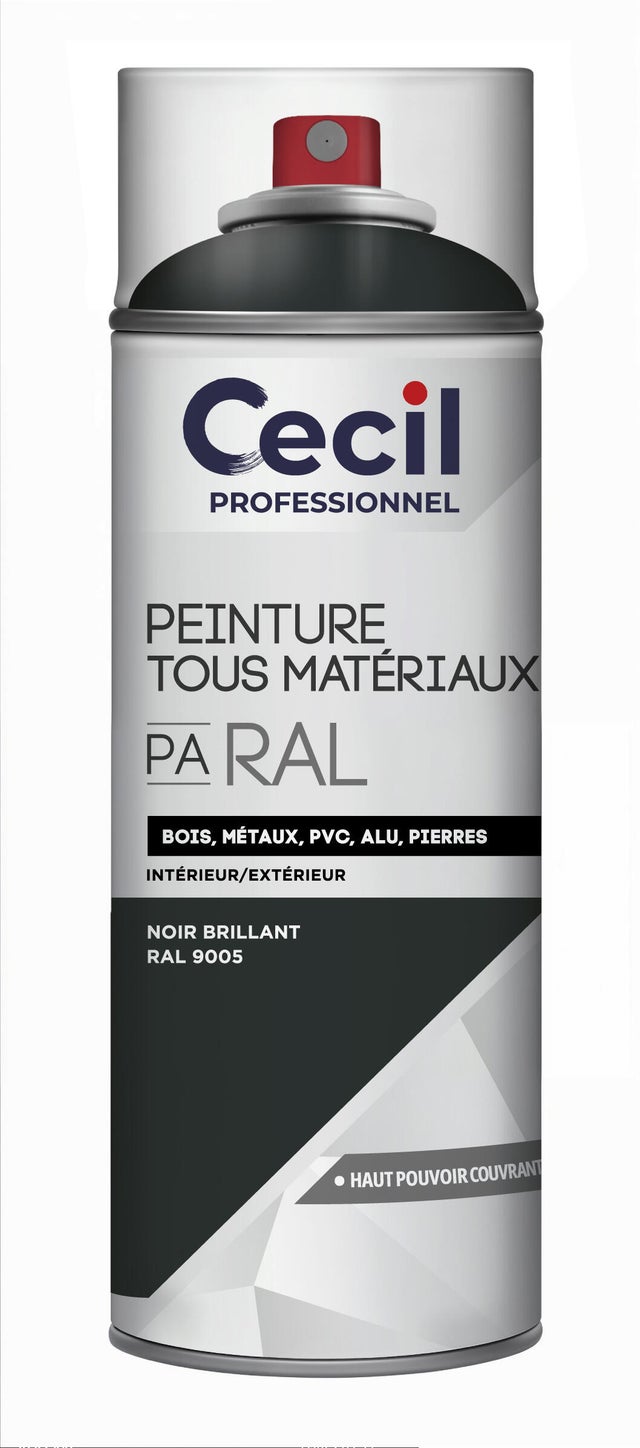 Peinture aérosol tous matériaux int/ext noir RAL9005 brillant 400 ml - CECIL PRO