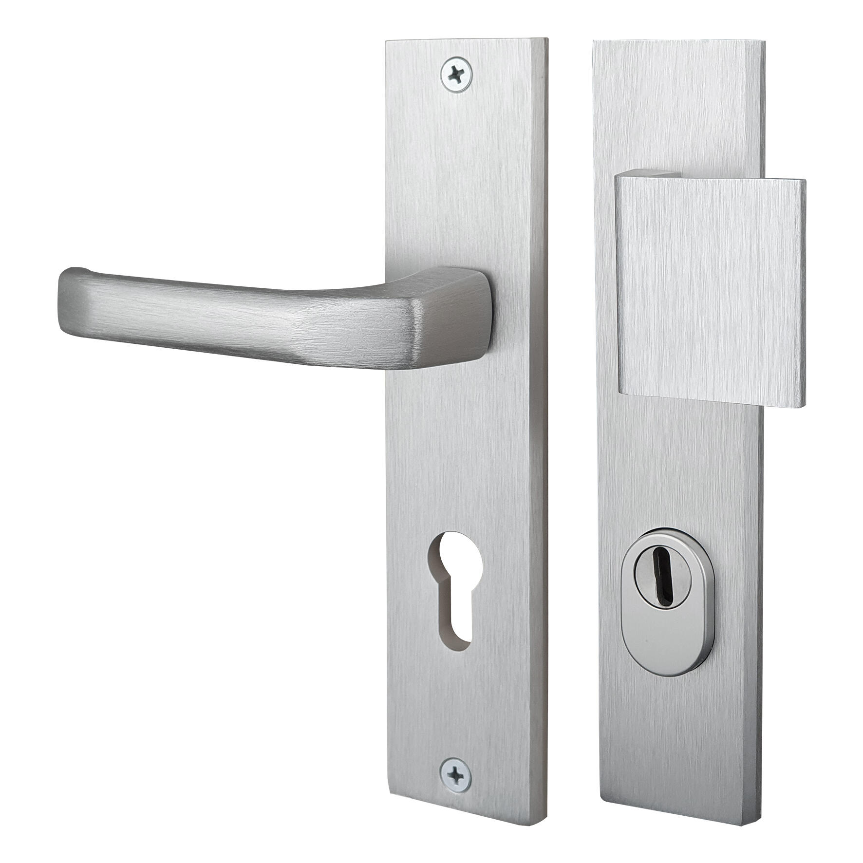 Poignée de porte sur plaque grise entraxe 195 mm ODIN x2 - 2