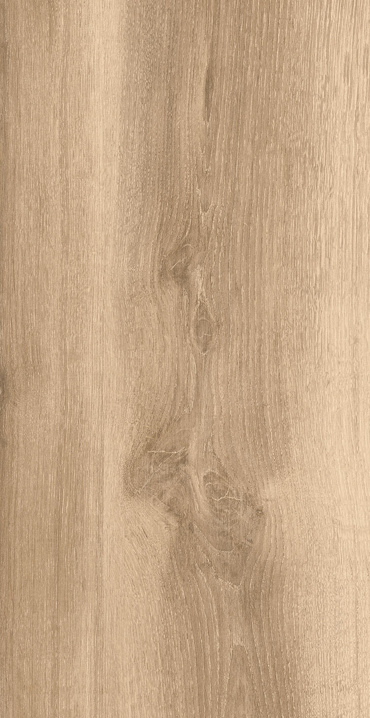 Carrelage sol extérieur effet bois l.30 x L.61 cm - Ewood beige - 2