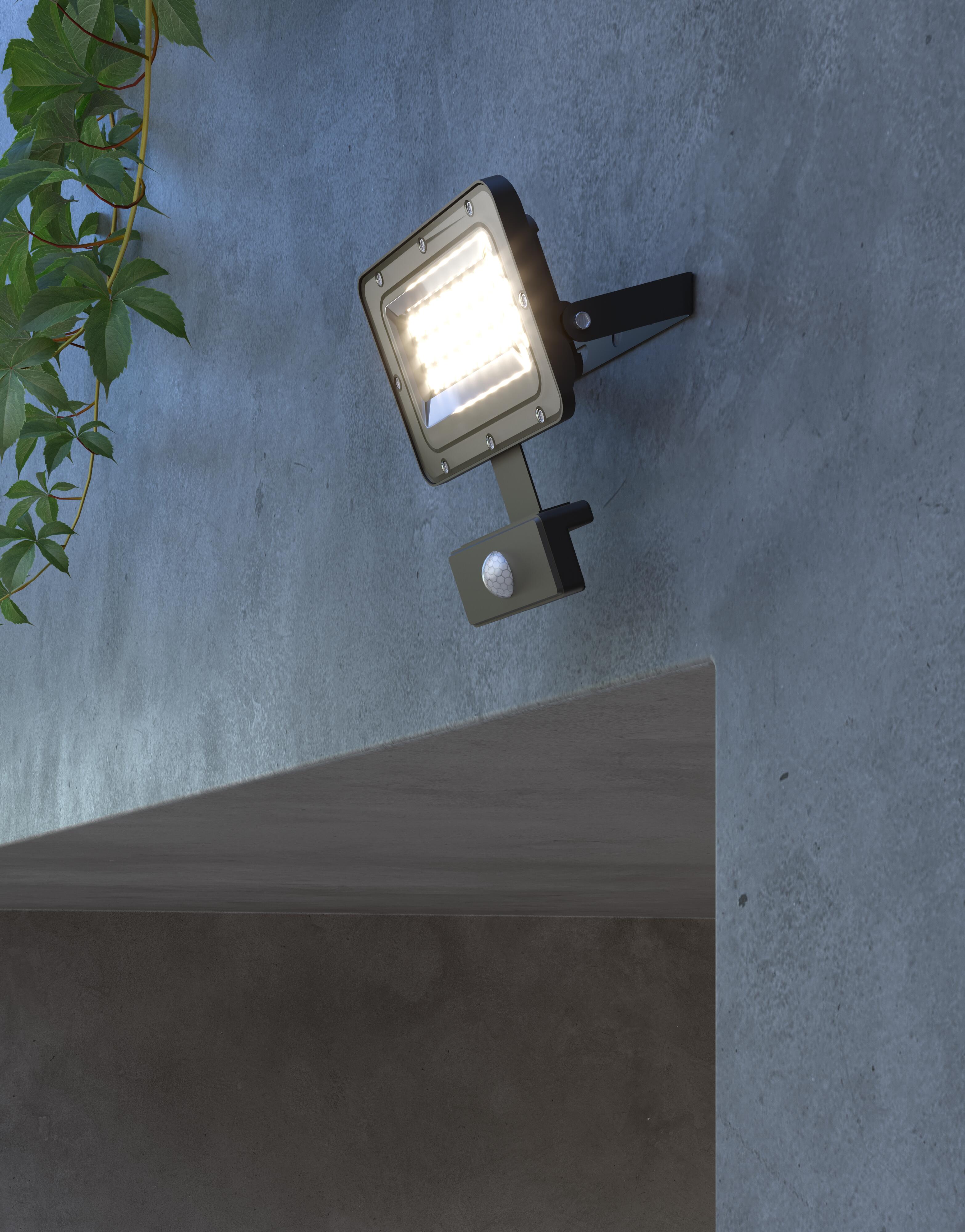 PROYECTOR LED 10W CCT - 3