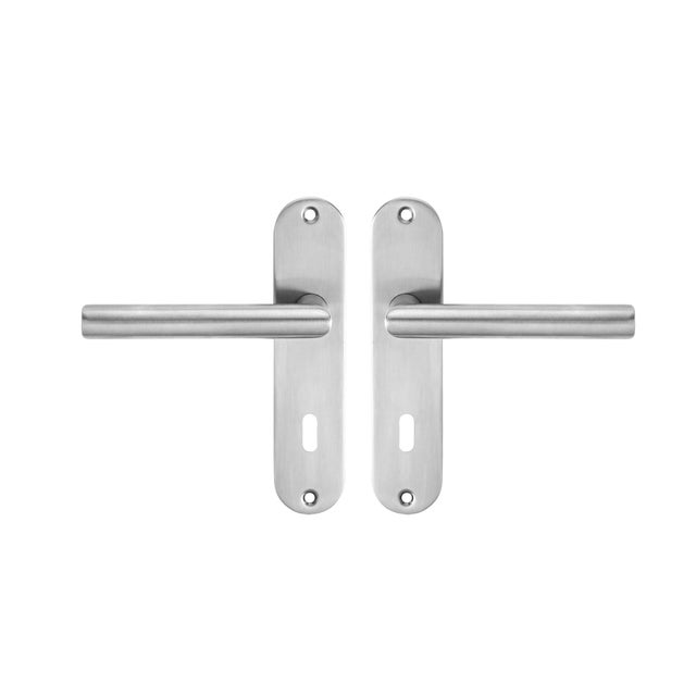 Poignée de porte sur plaque aspect nickel entraxe 165 mm Clé en L THEA x2