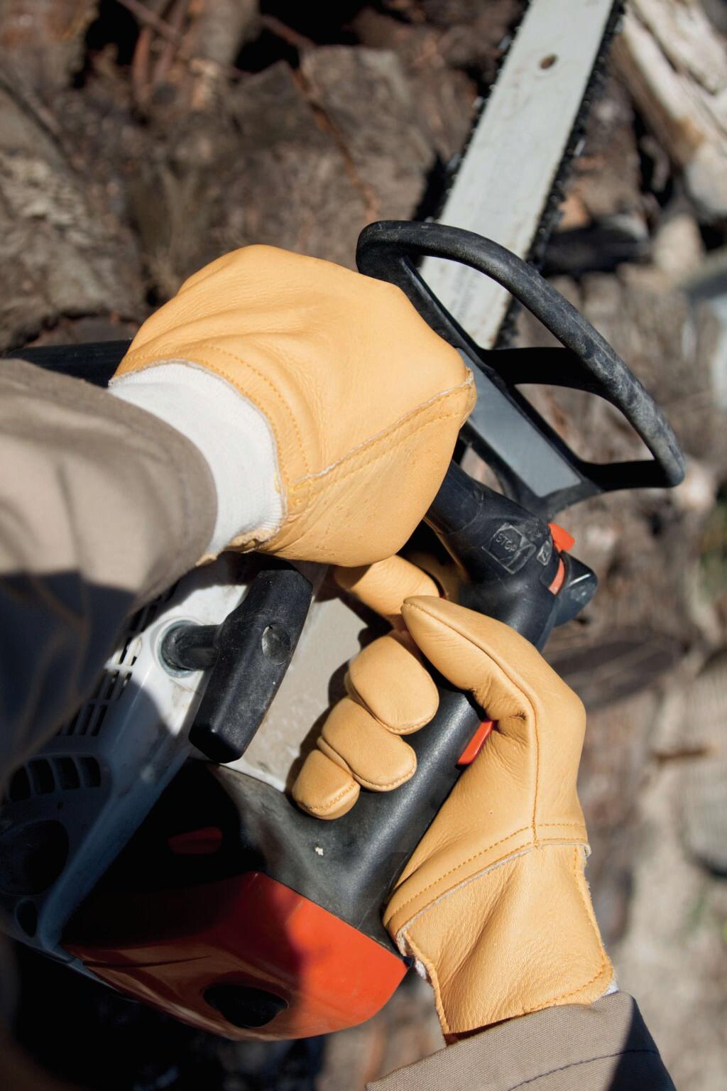 Gants de protection pour travaux forestier T.10 - DELTA PLUS - 3