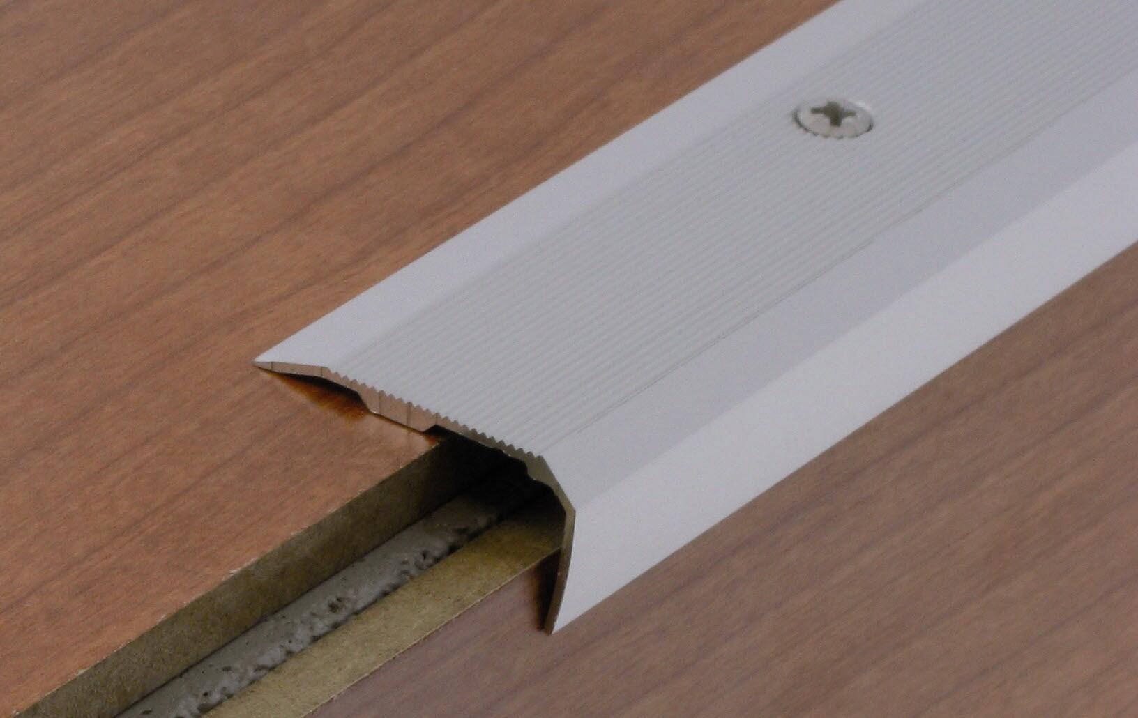 Nez de marche aluminium strié à visser L.170 x l.3,60 cm Tecnis - 2
