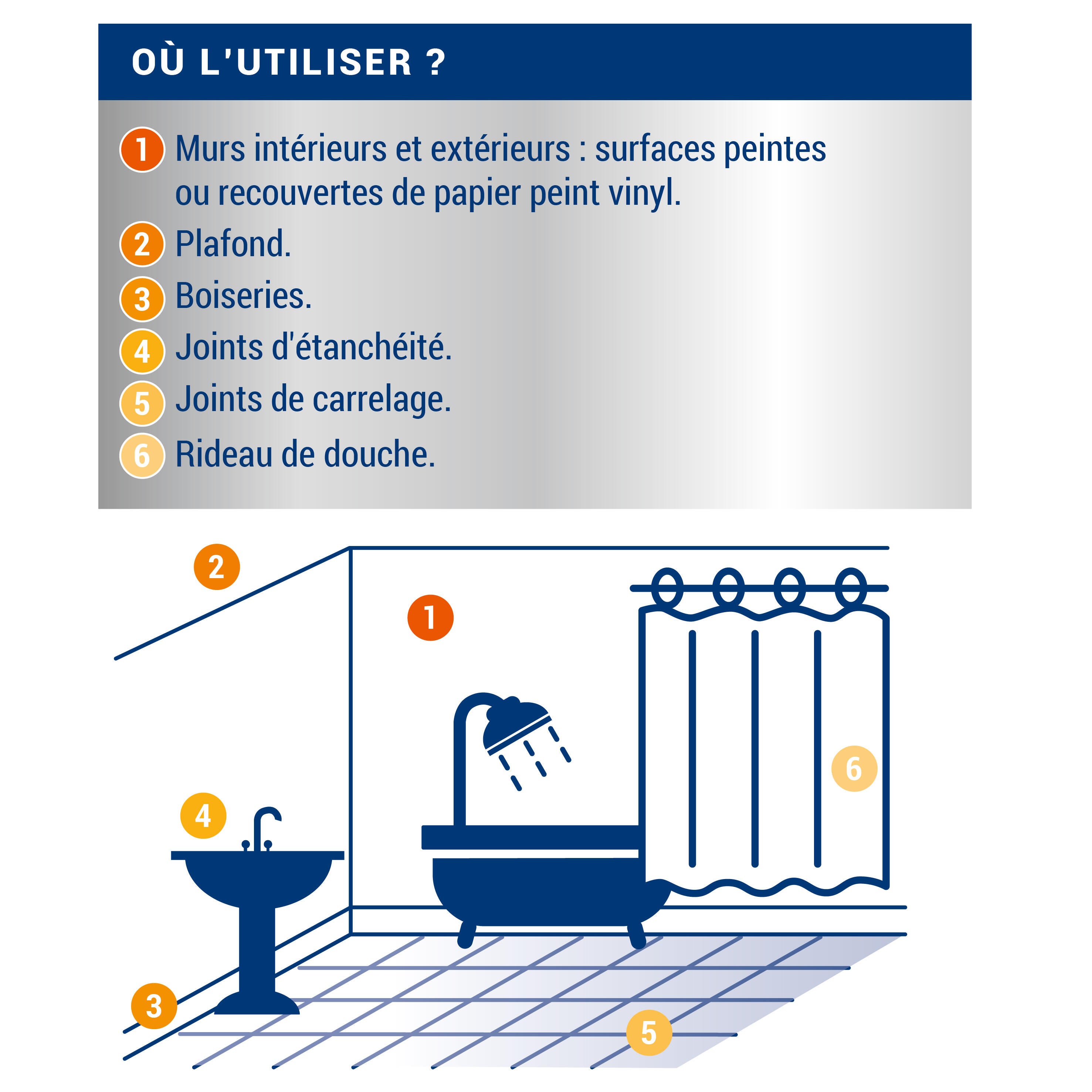 Traitement anti-moisissures 0,5 L - RIPOLIN - 5