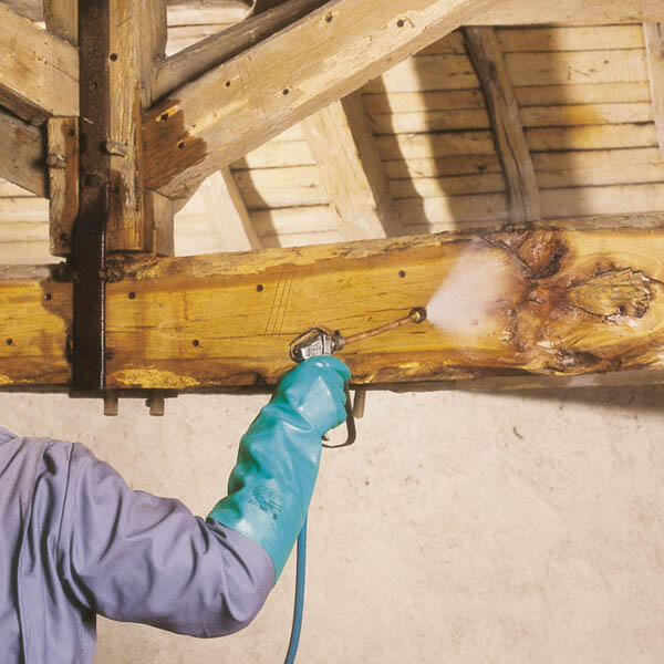 Traitement bois poutres et charpentes intérieures 5 L TX202 - CECIL PRO - 3