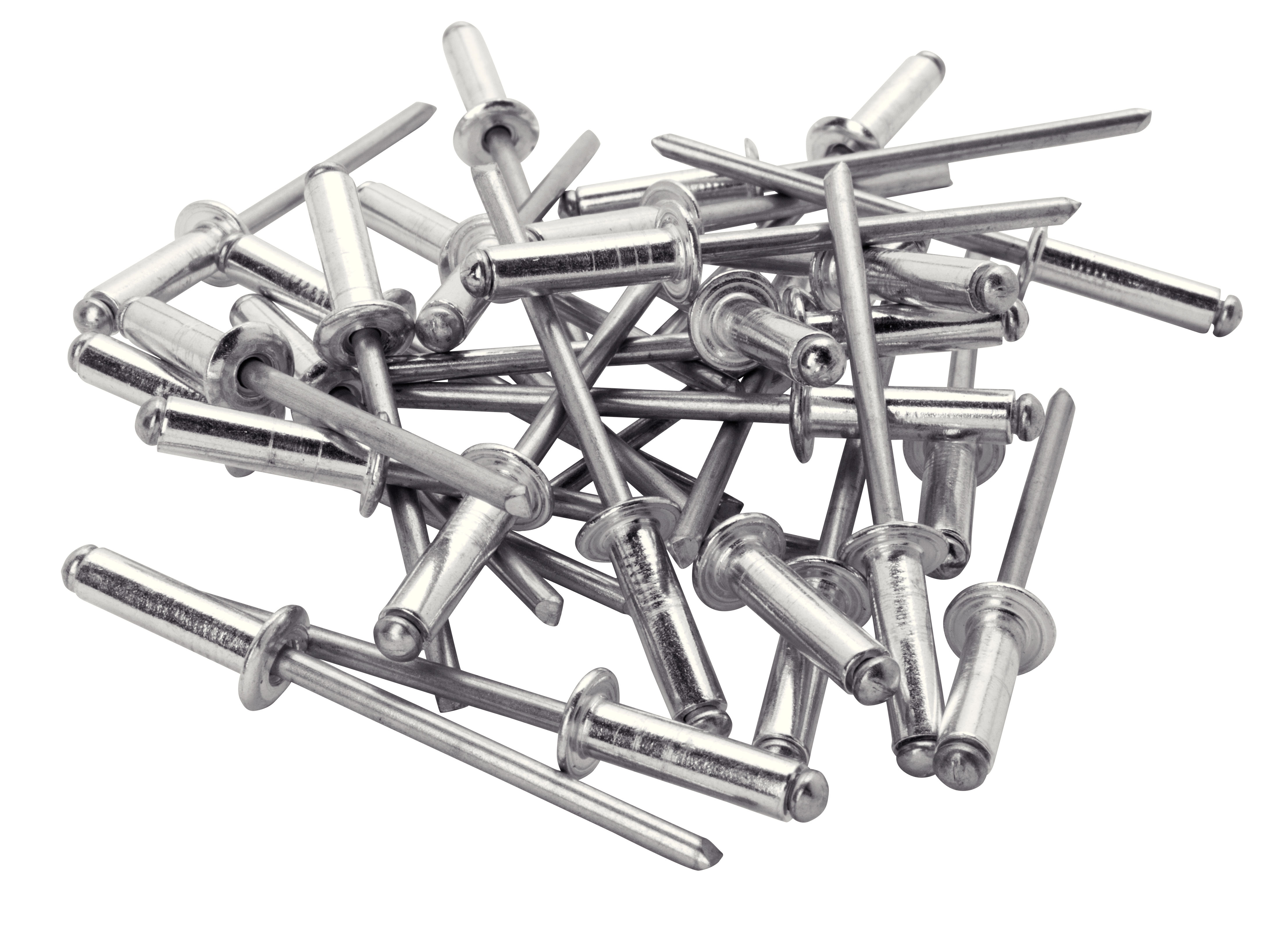 Rivets acier Diam.4 x H.12 mm RAPID - 2