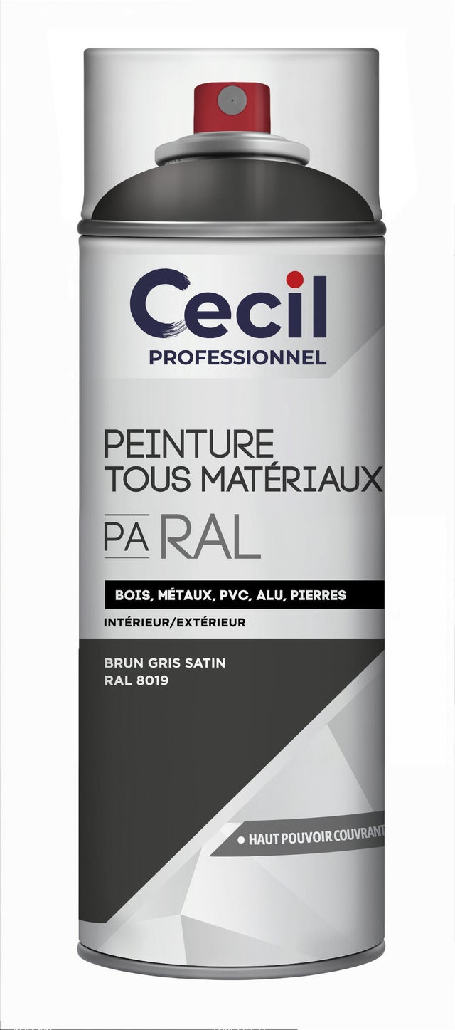 Peinture aérosol tous matériaux int/ext brun girsé satin RAL8019 400 ml - CECIL PRO