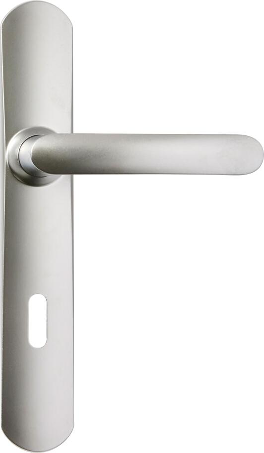 Ensemble poignées de porte sur plaque entraxe 195 mm slim chrome satin clé L - VACHETTE - 2