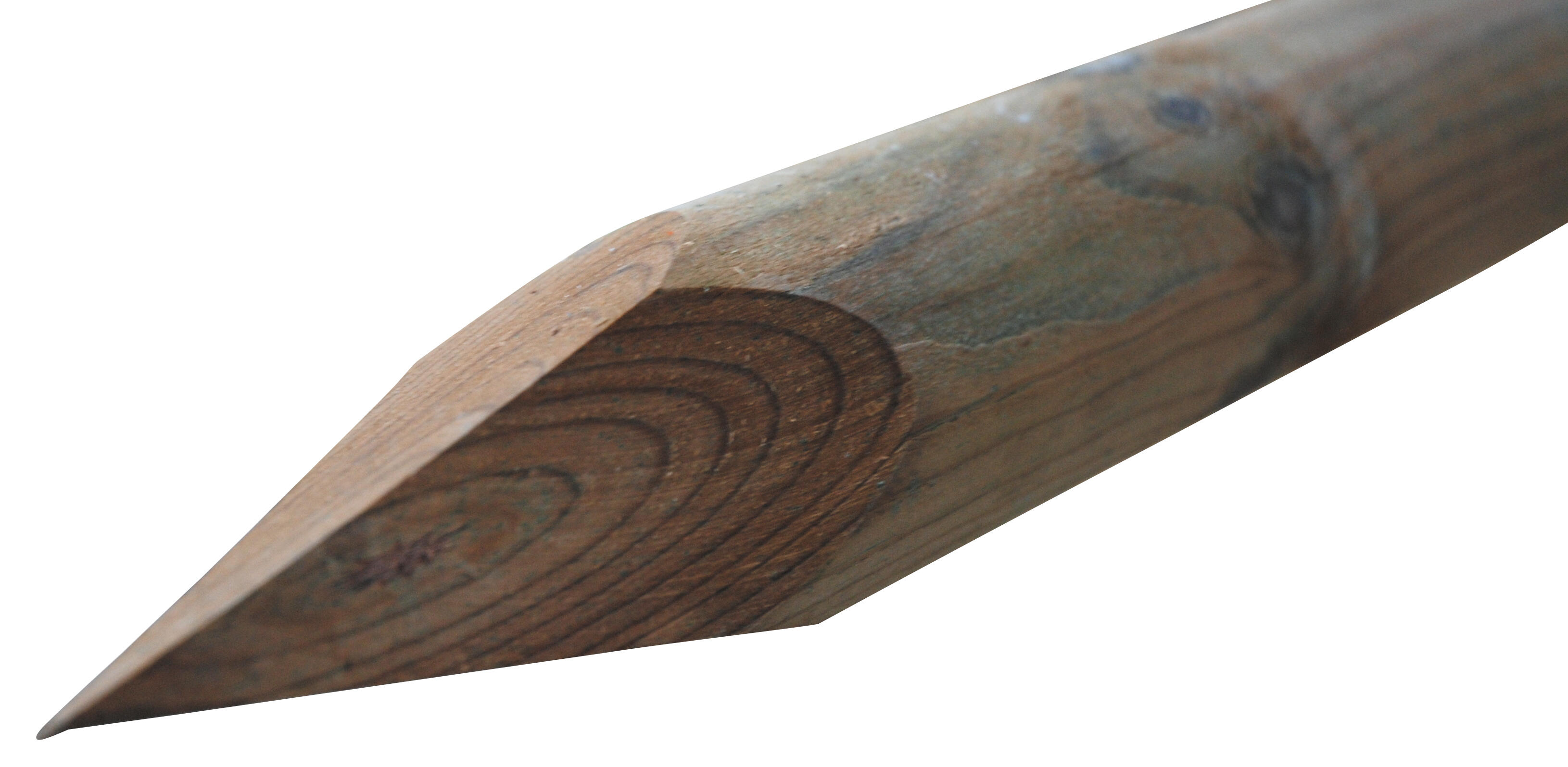 Poteau rond pin à pointe classe 3 H.150 x Diam.6 cm - 4