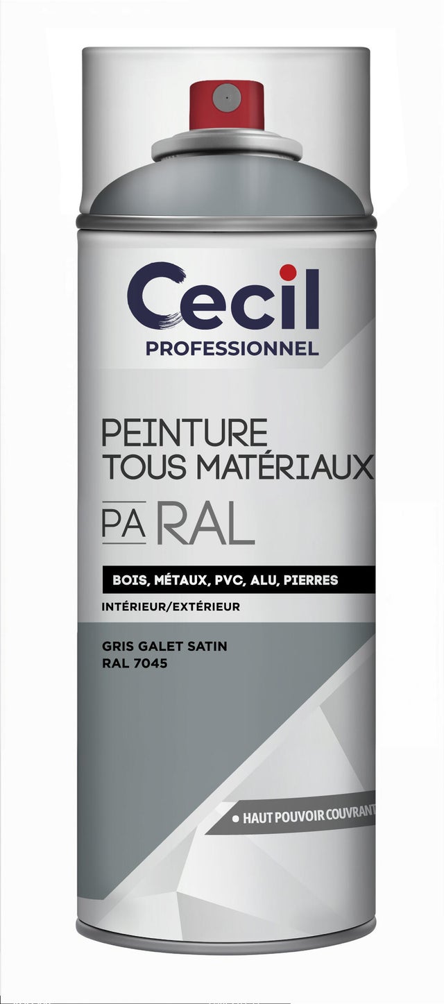 Peinture aérosol tous matériaux int/ext gris galet satin RAL7045 400 ml - CECIL PRO