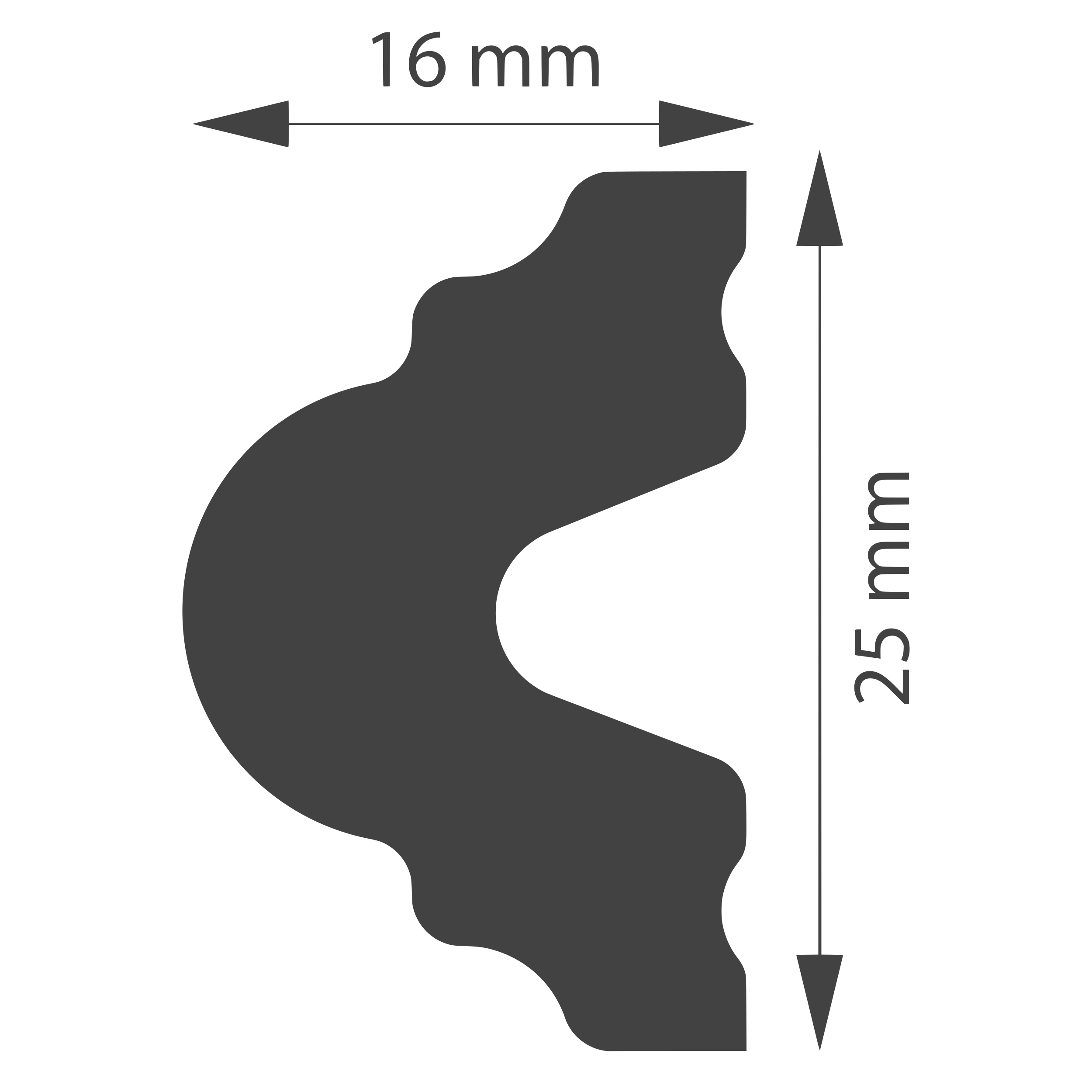 Listwa ścienna WD25D z polistyrenu 16 x 200 cm DMS - 5