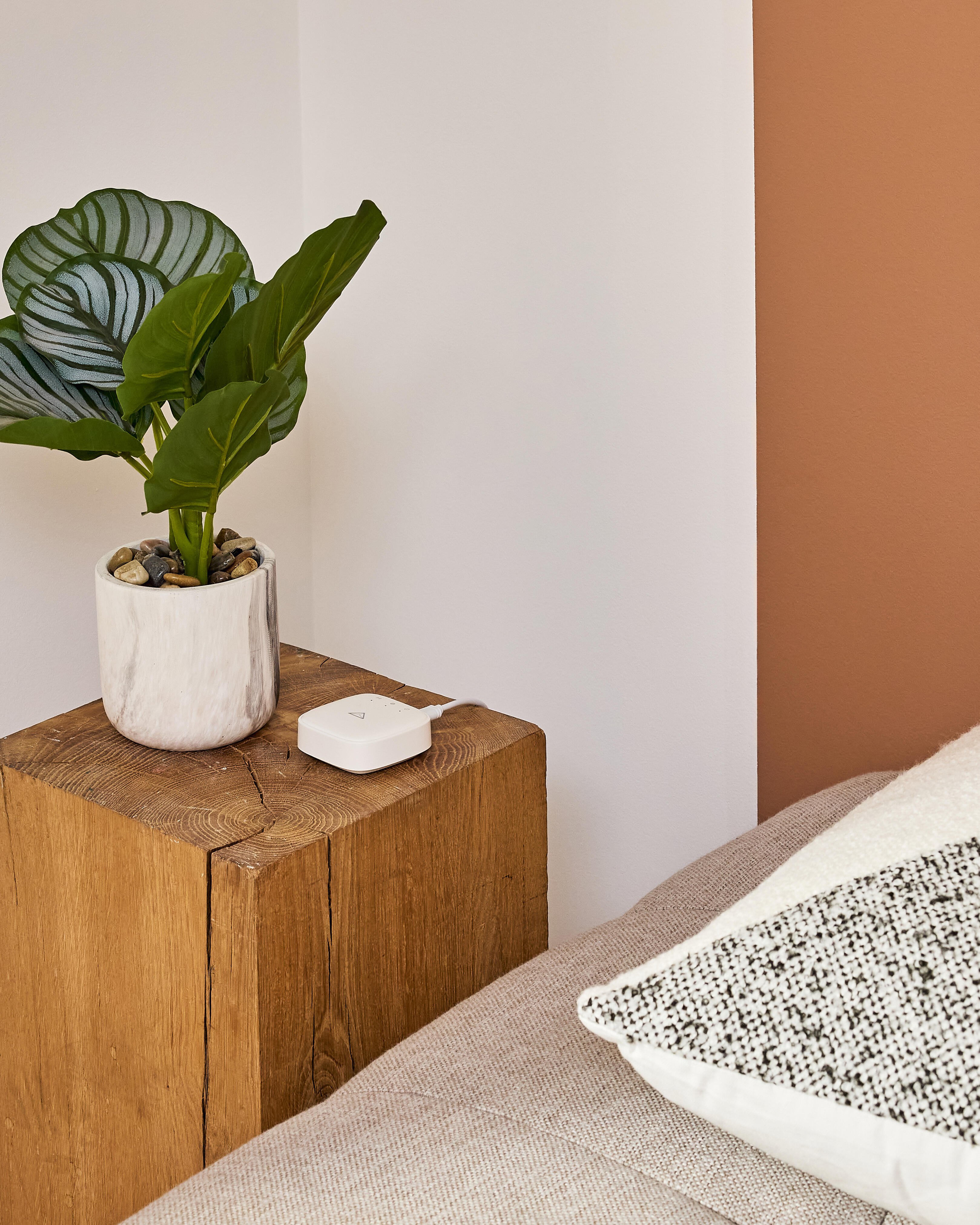 Caixa domótica ENKI - 15