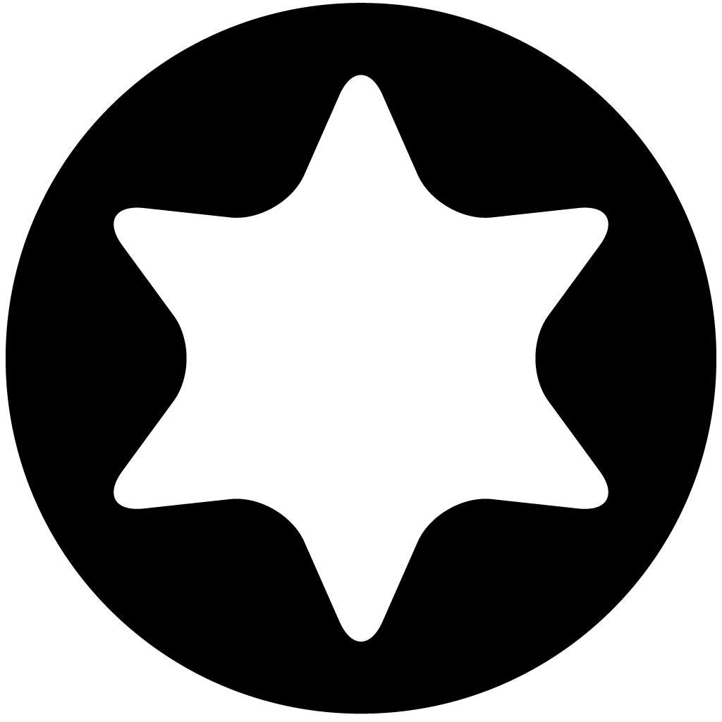 Vis bois inox A2 Diam. 5 x 70 mm Boîte de 100 - SPAX - 3