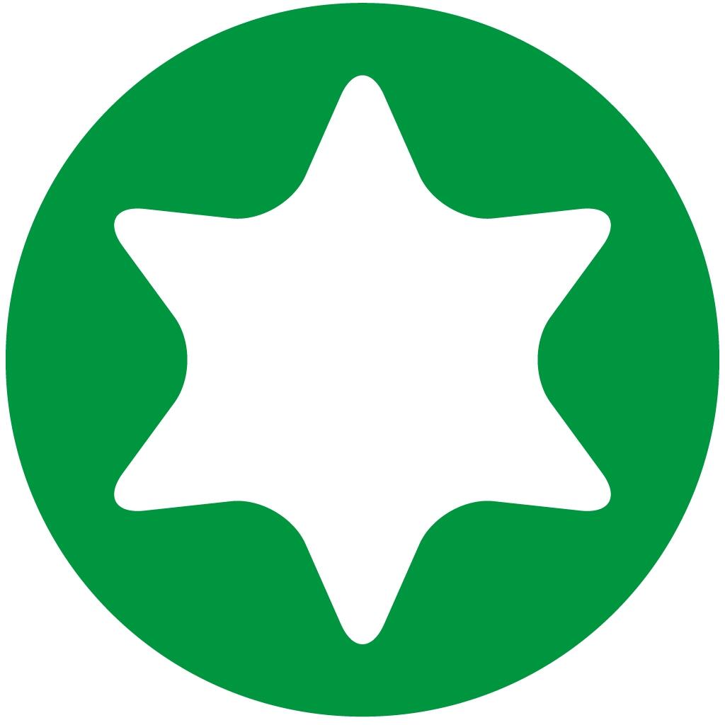 Tournevis torx T25 Long.100 mm - KENSTON - 2