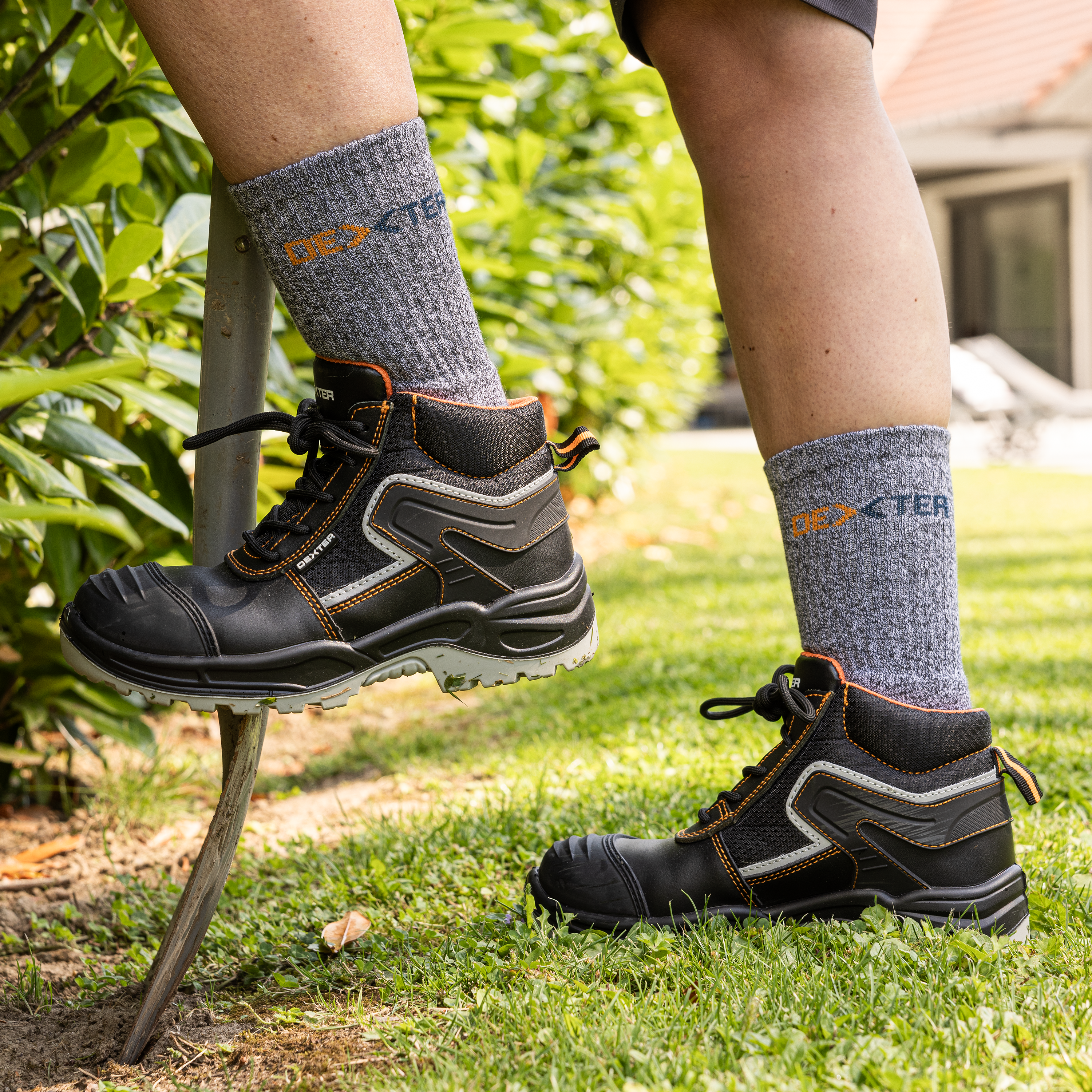 Pack 3 pares calcetines largos DEXTER - Talla 43 a 46 - 2