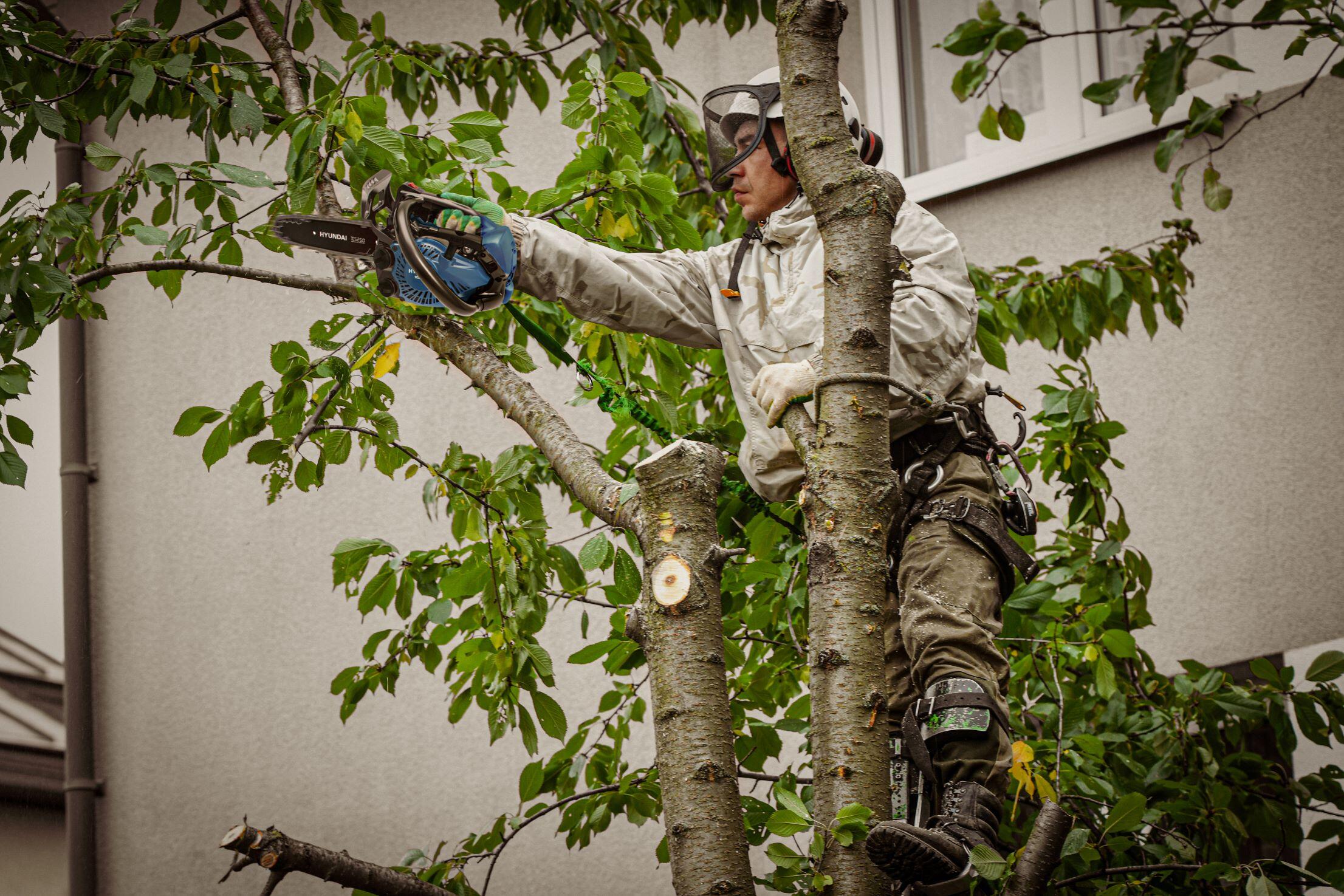 Motosega a scoppio, 2 tempi HYUNDAI 35520 Superleggera, 25.4 cc barra da 25 cm - 3