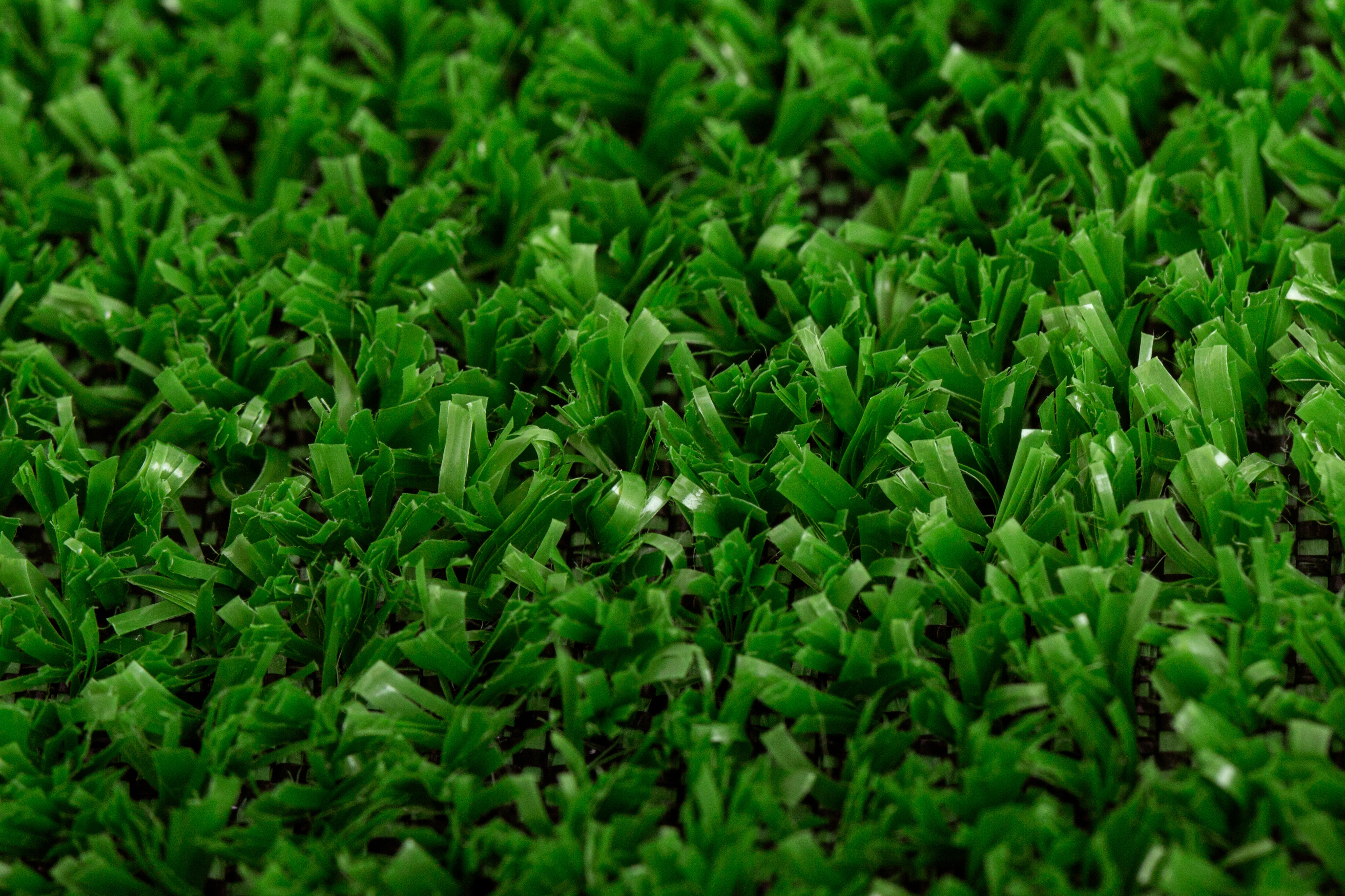 Rotolo di erba sintetica Sp 7 mm resistente ai raggi UV 5 x 1 m, 5 m² TUFTED - 15