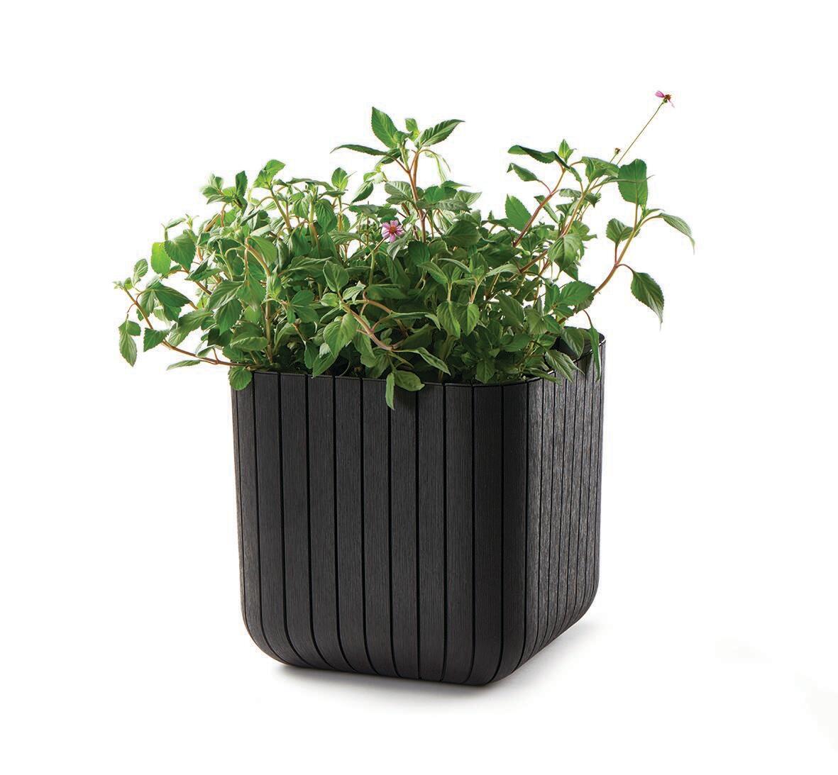Maceta cuadrada de polipropileno KETER Cube S 30 x 30 x 30 cm marrón - 5