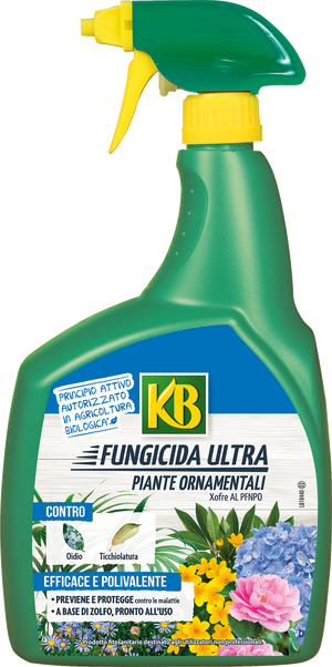 Wesentlich, olio di neem con emulsionante, 500 ml, pre-miscelato per un'immediat