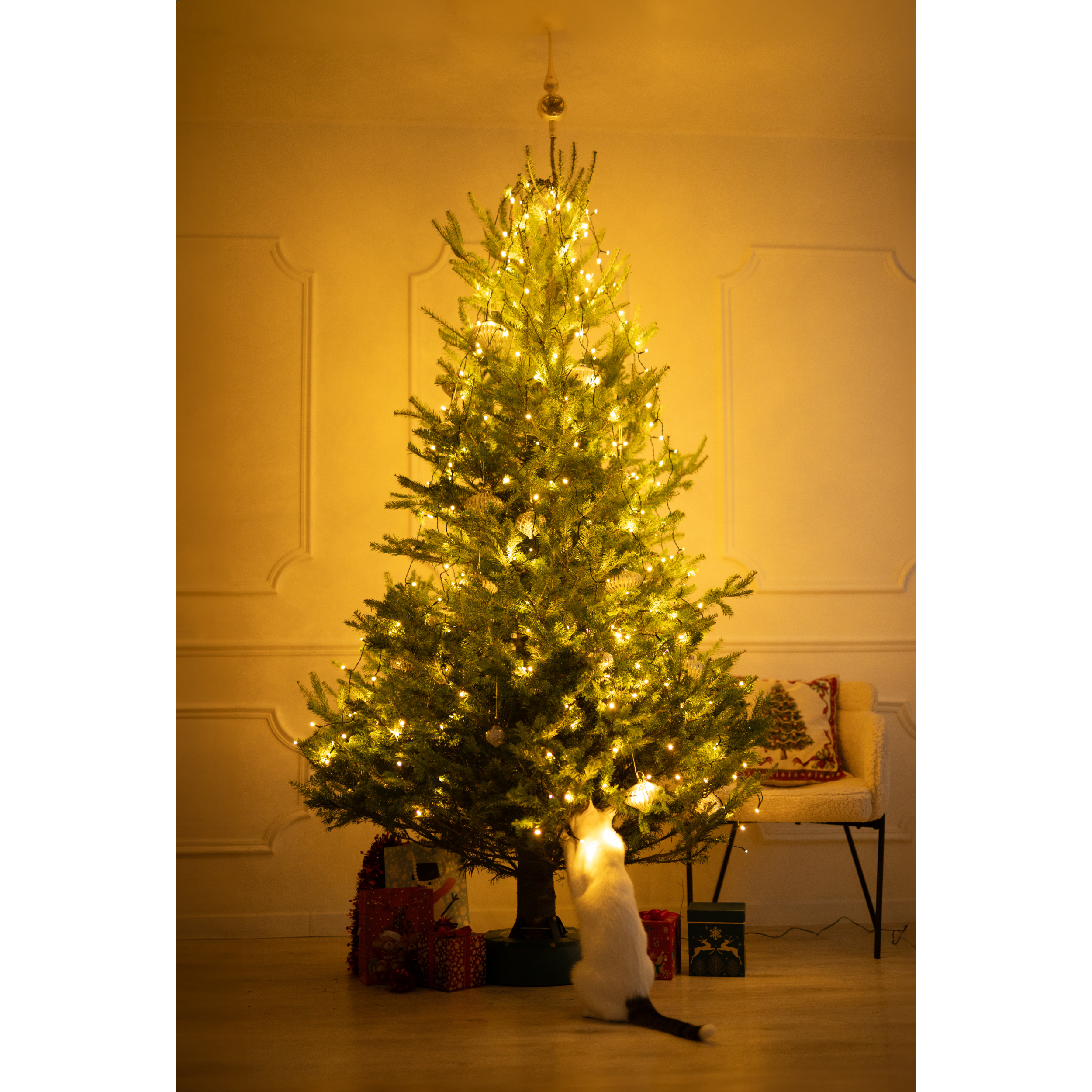 Stojak choinkowy Start 3 samozaciskowy Kamai ( na choinkę do 3m) - 17