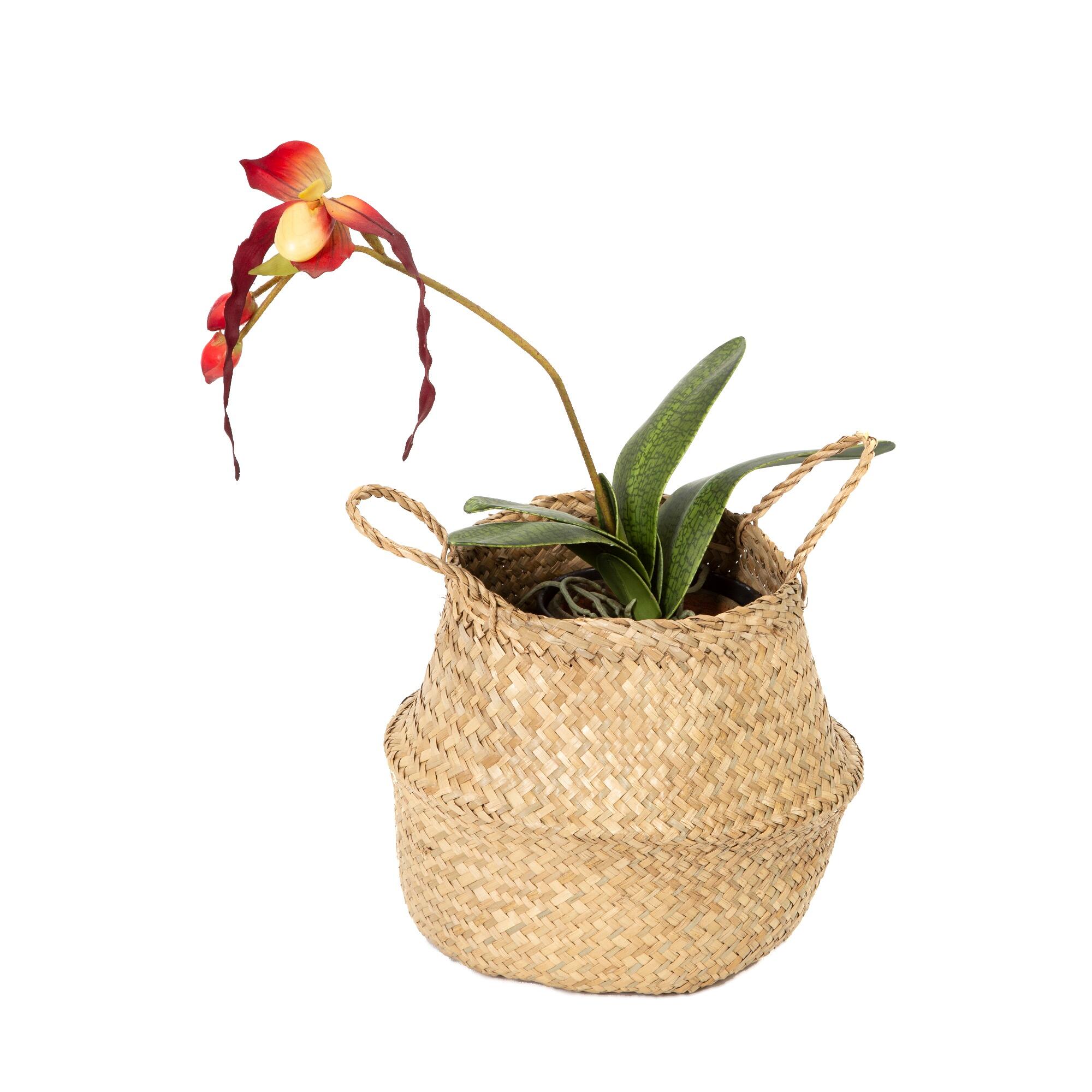 Panier de rangement Belly l.27xP.27xH.26cm Compactor - 3