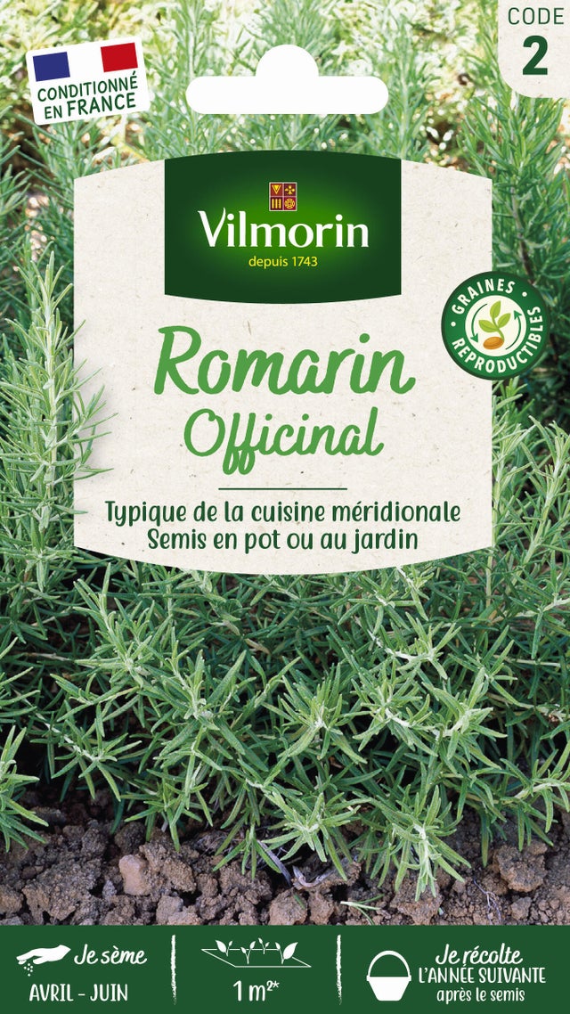 Graines de romarin officinal  VILMORIN 0.1 g