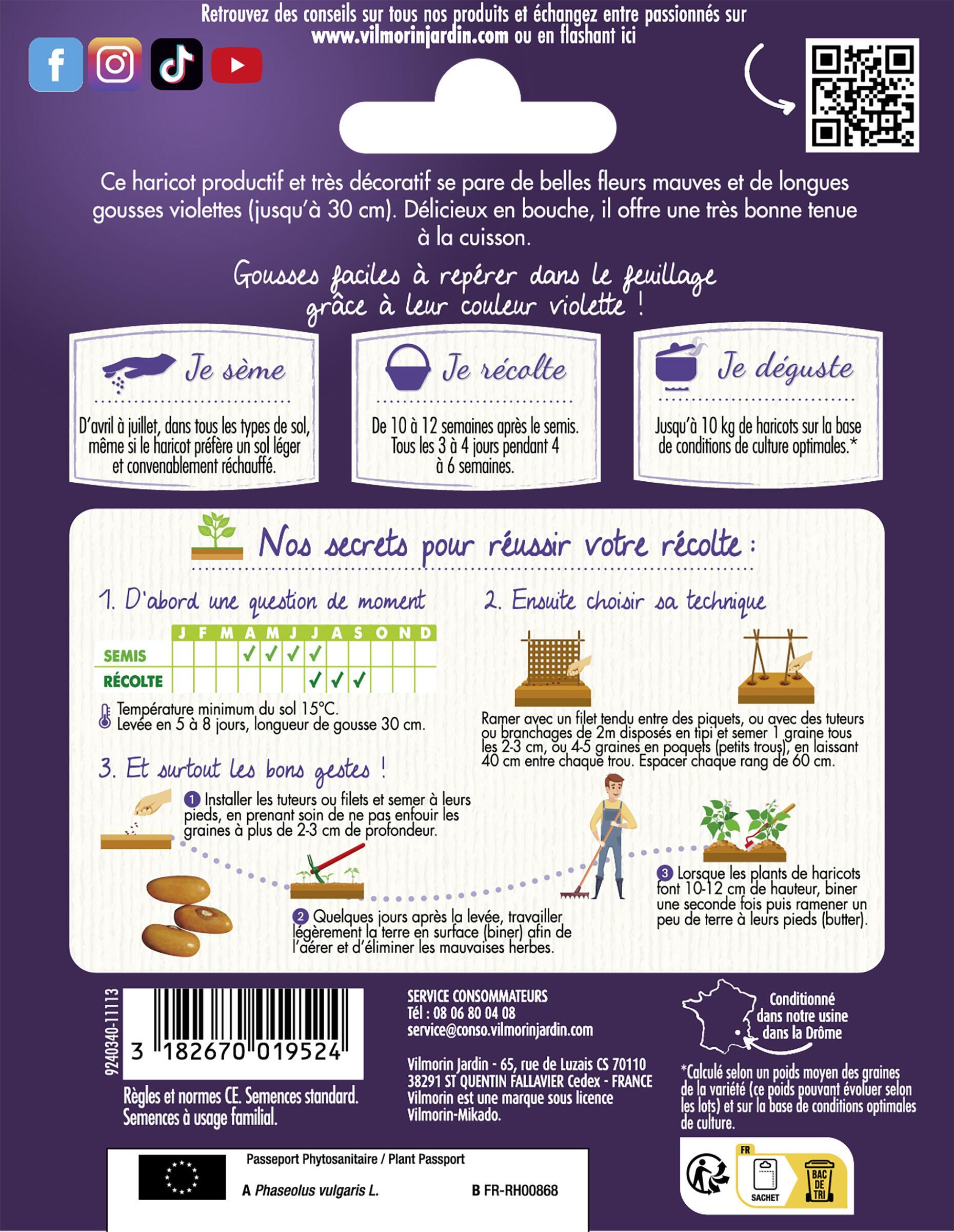 Haricot à rames Melissa 5M (violet) - Sachet - (Sélection Vilmorin) série 5M Vil - 2