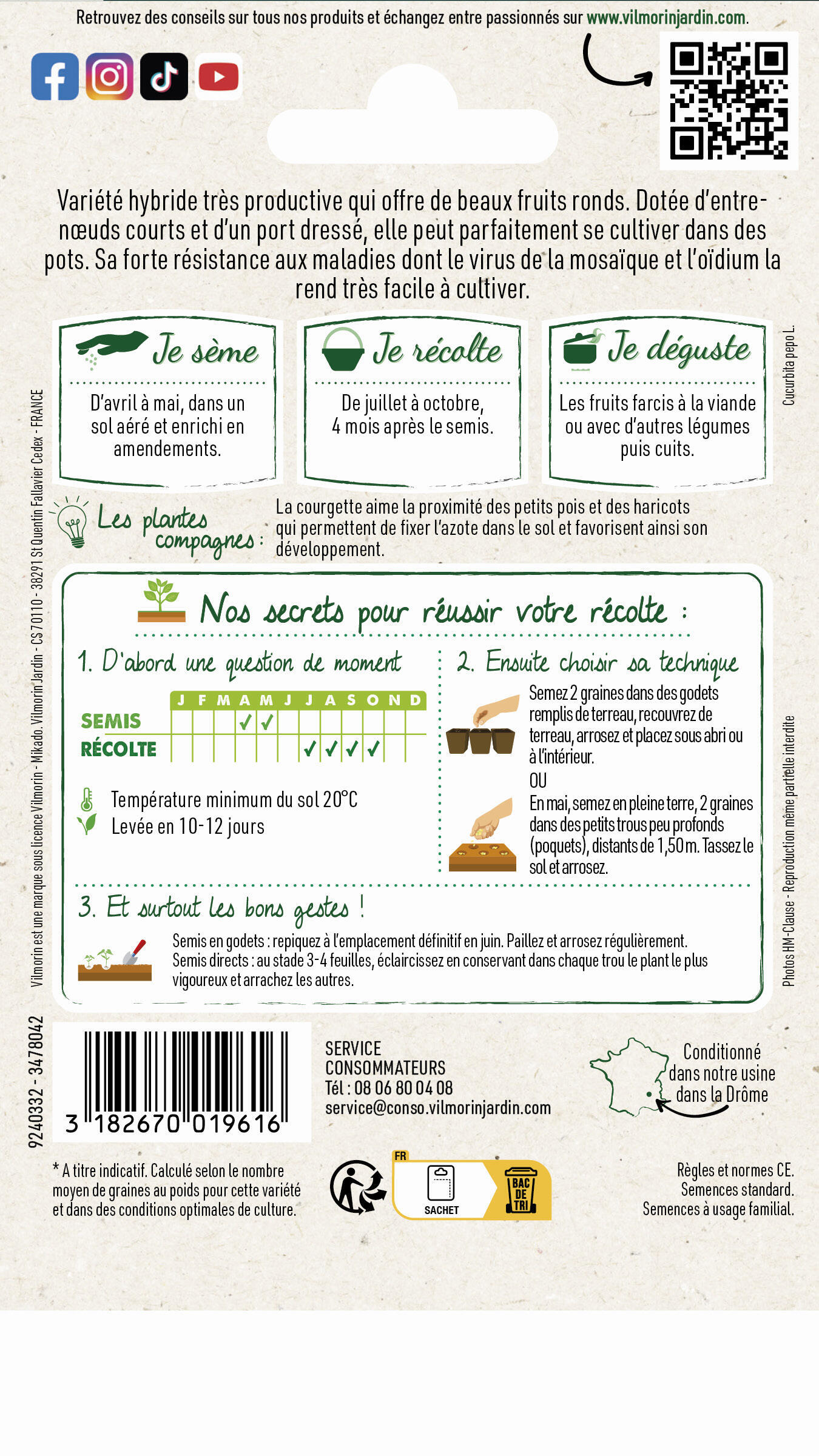 Graines de courgette boldenice  VILMORIN 2 g - 2