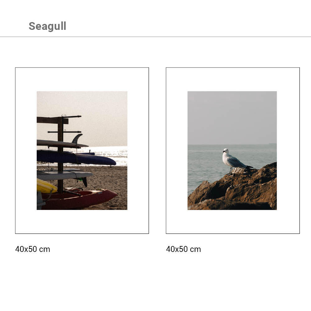 Set 2 imagens Seagull 40x50cm - 3