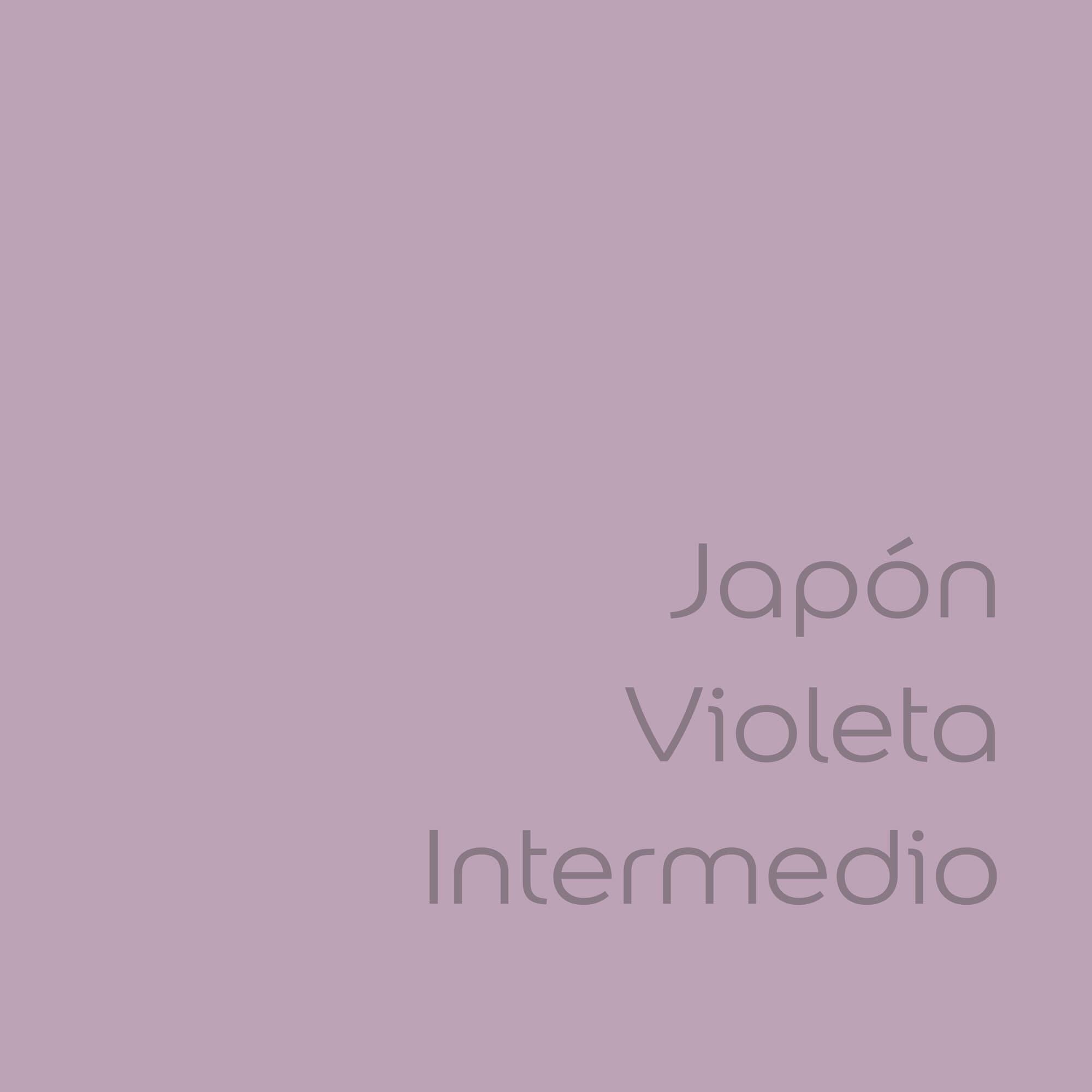 Tester de pintura Colores del Mundo BRUGUER color japón intermedio mate 30ml para paredes y techos - 2