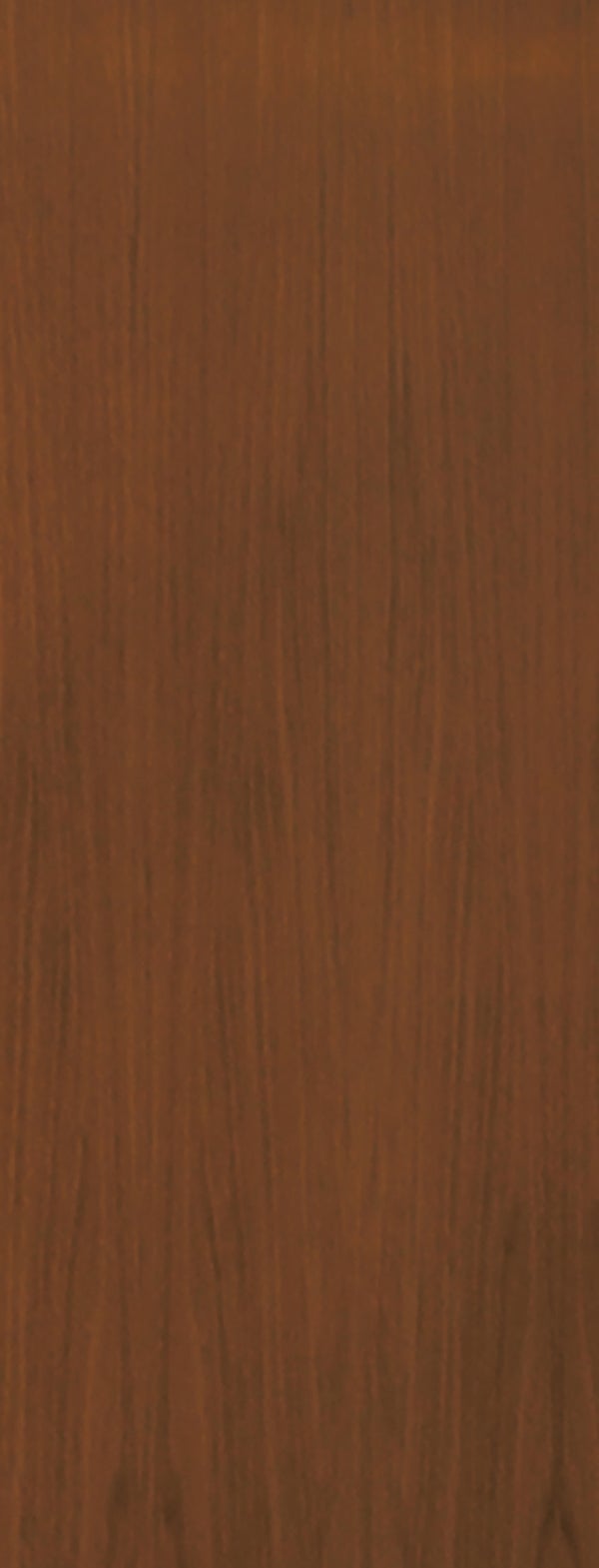 PANEL PUERTA ACORAZADA CARA EXTERIOR RECHAPADO SAPELLY